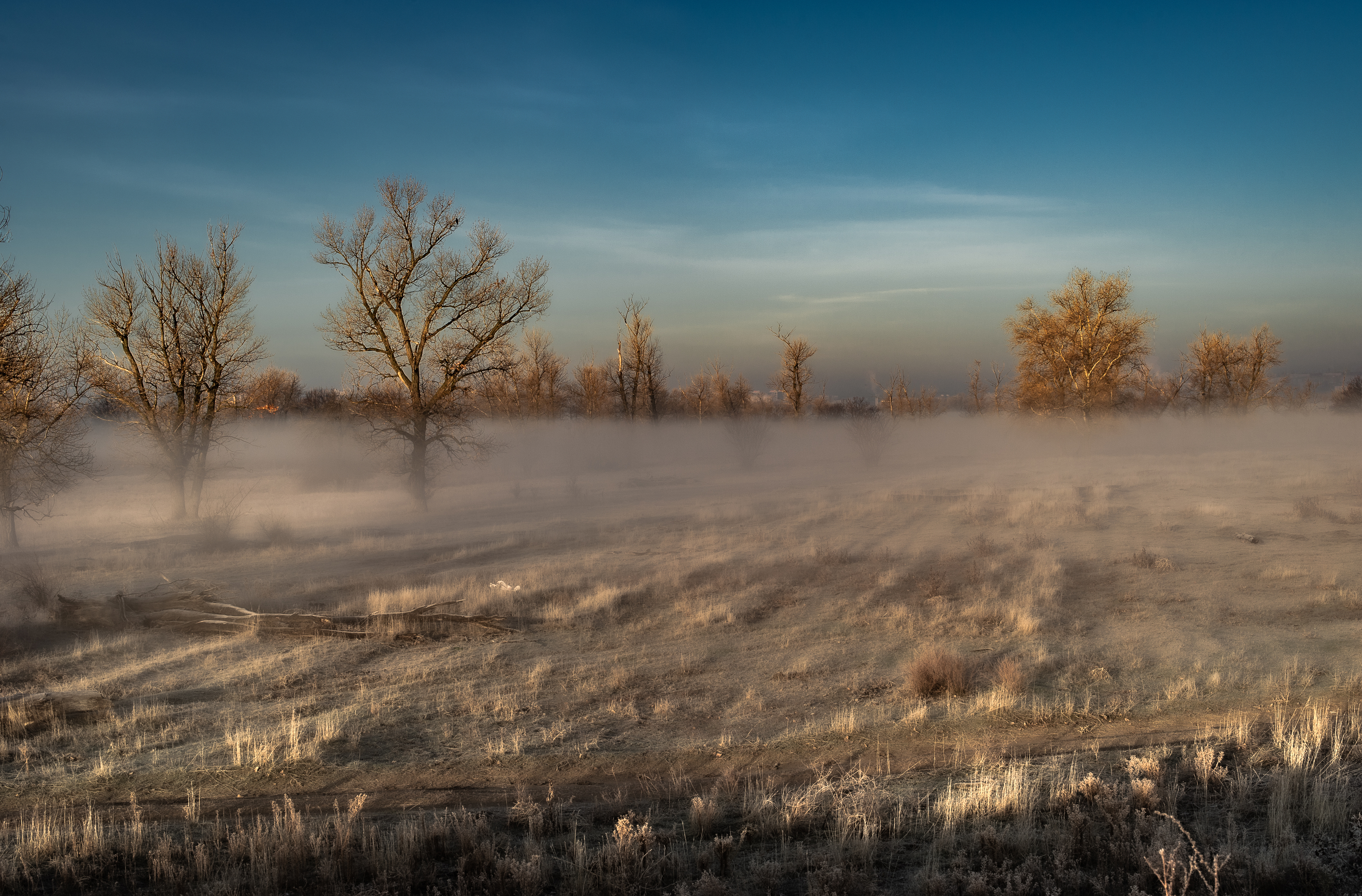 пейзаж,туман,природа,рассвет, Vasilev Roman