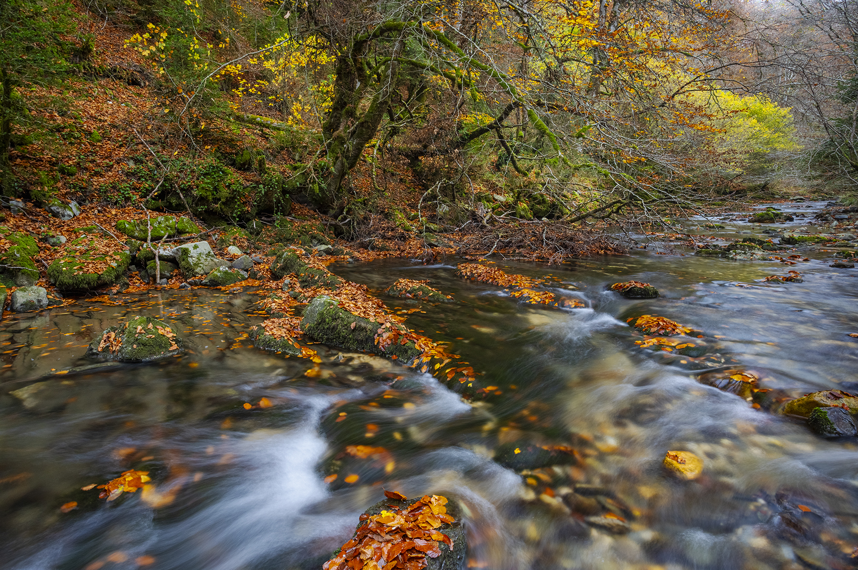 photo, photography, picture, land, landscape, nature, autumn, river, color, mood , colorful, green, river, flow, flowing, forest, mountains, jimenez millan samuel