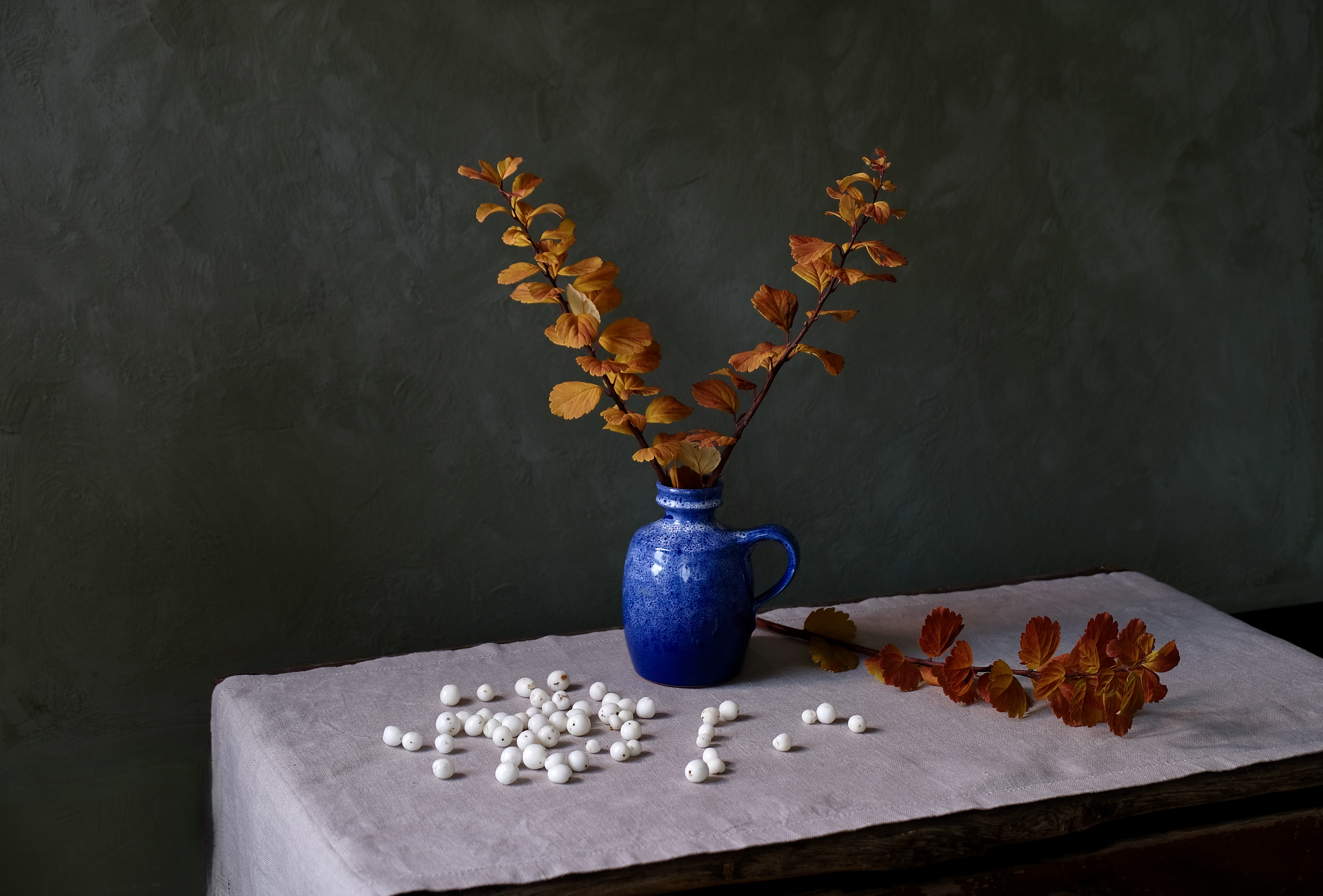 Still life, Autumn, Colors, Snowberries, Nature, Mood, , Svetlana Povarova Ree