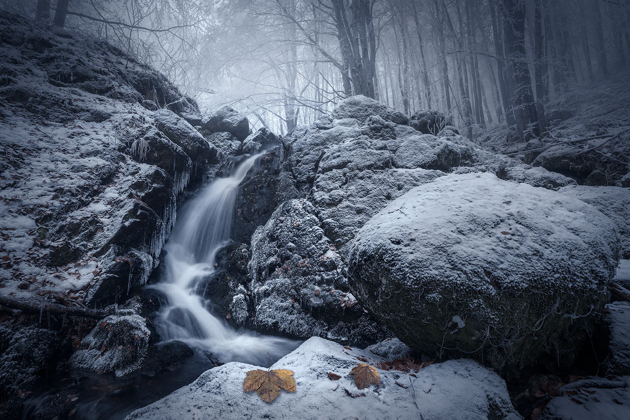 landscape nature scenery forest wood autumn rime mist misty fog foggy river longexposure mountain rocks vitosha bulgaria туман лес oсень, Александър Александров