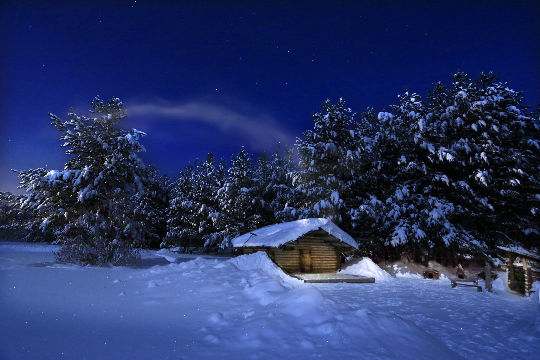 Звезды, Татьяна