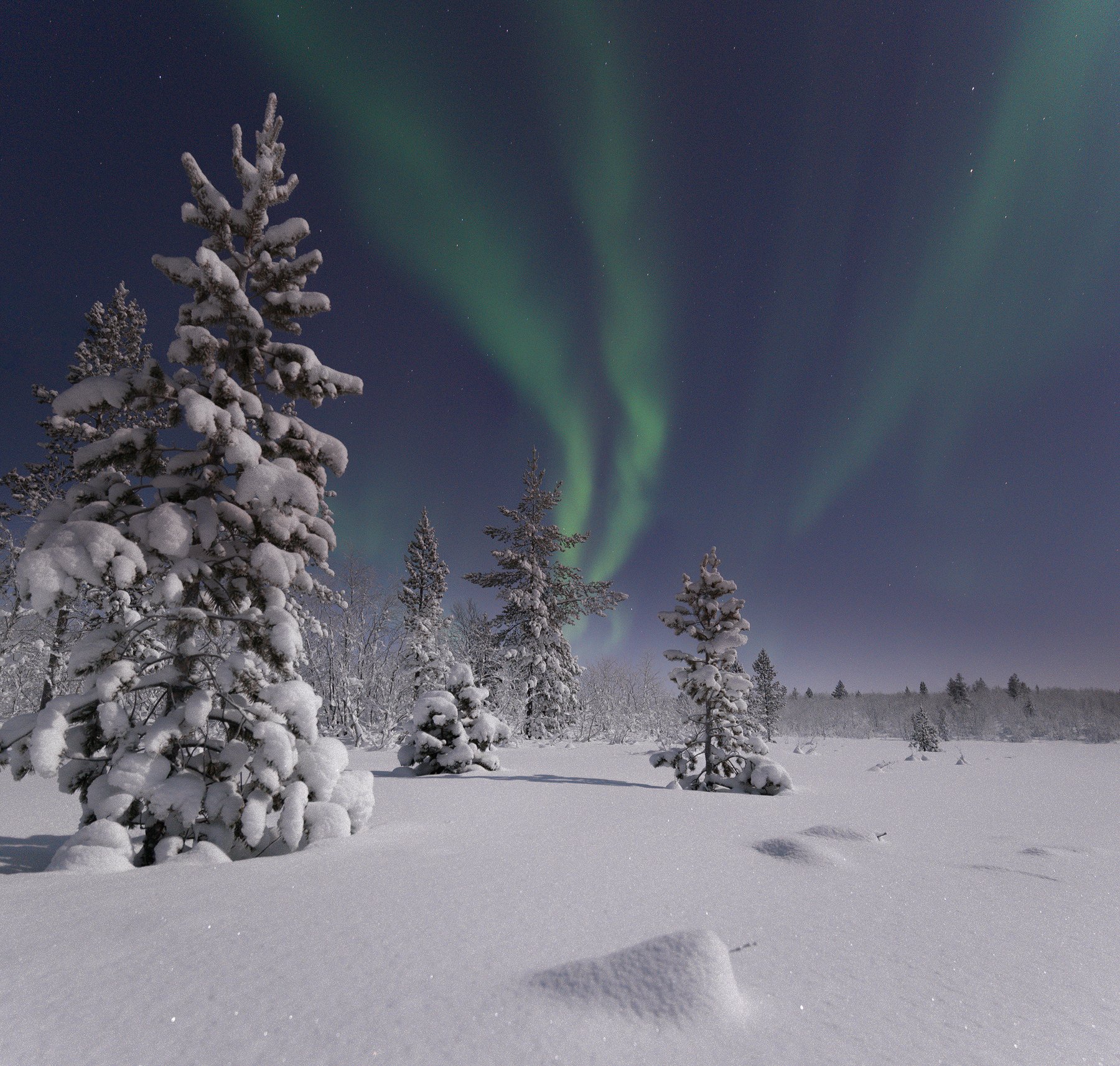 Aurora borealis, северное сияние, Кольский полуостров, Анастасия Малых