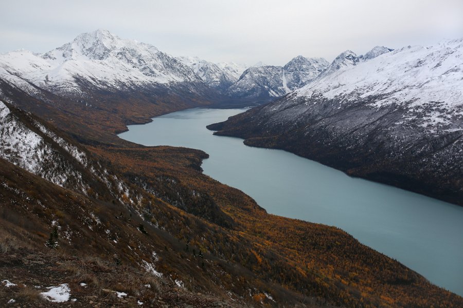 Alaska, Бондарев Николай