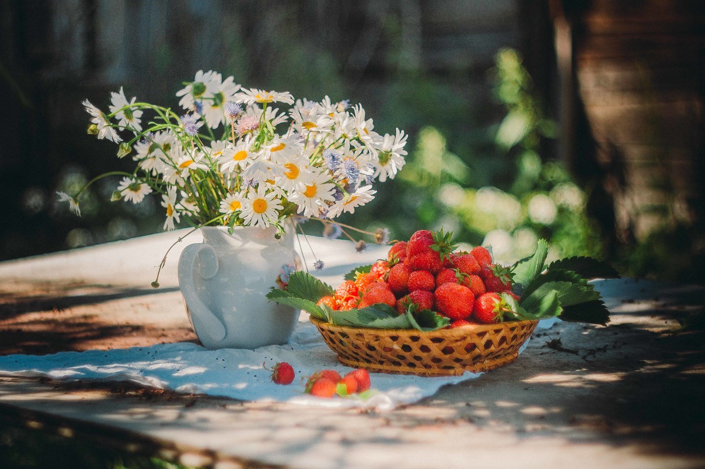лето солнце ягоды ромашки цветы урожай свет гелиос боке, Татьяна Афиногенова