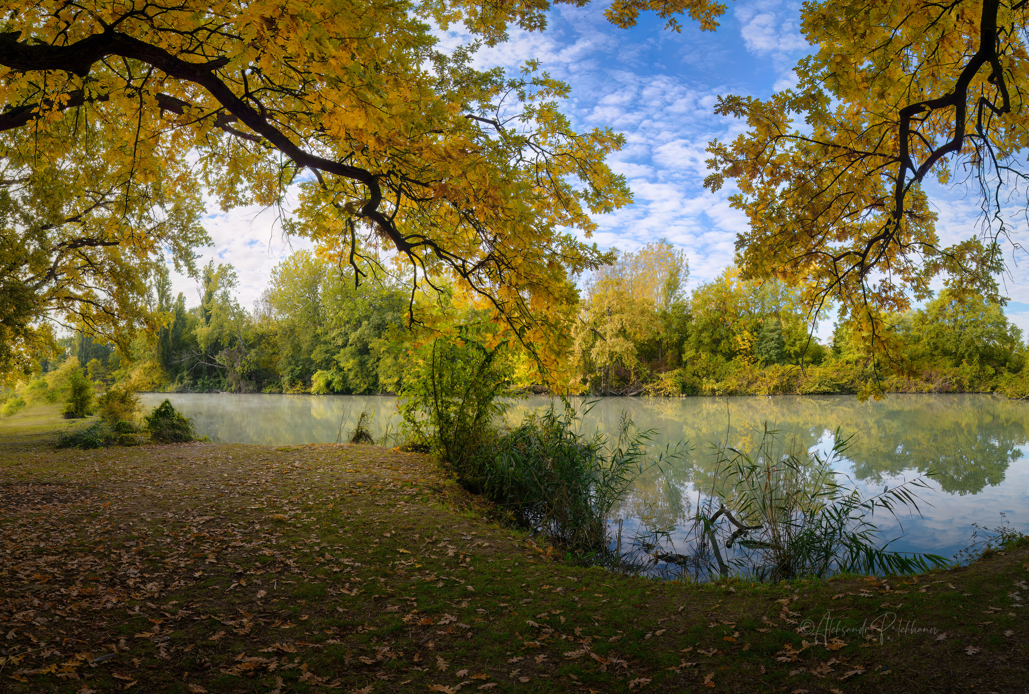 осень, Плеханов Александр