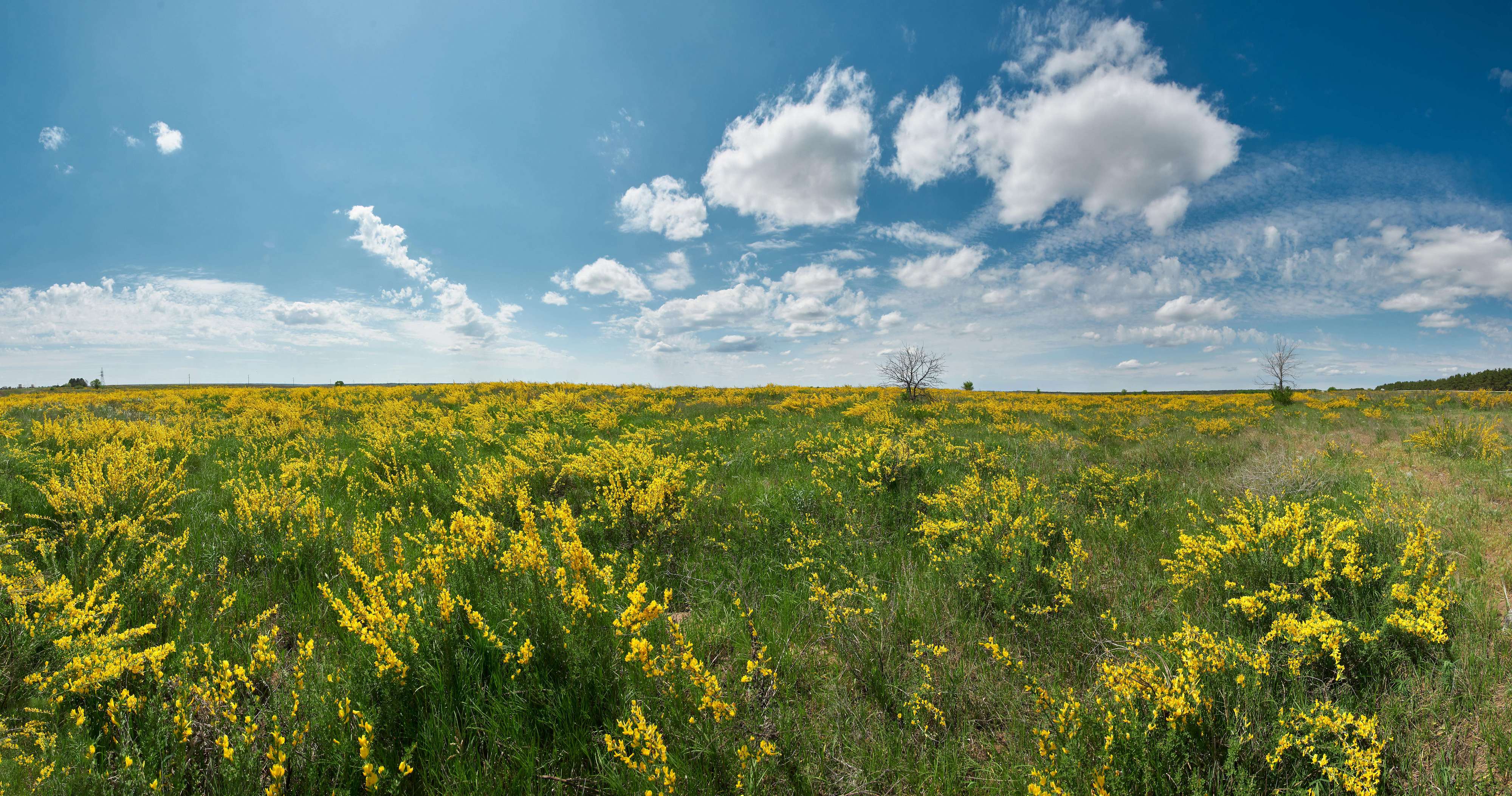 volgograd, russia, landscapes, , Павел Сторчилов