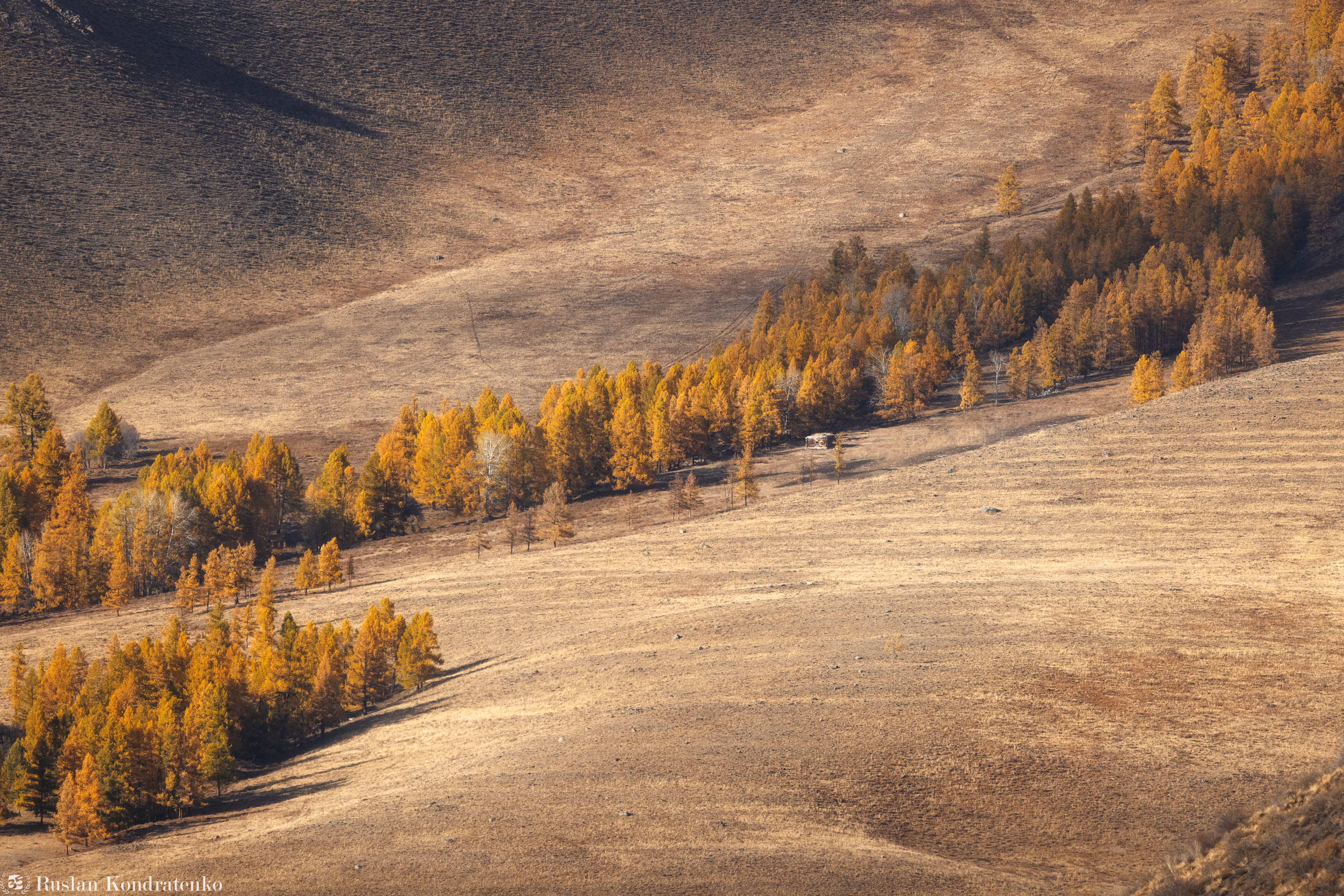 алтай, осень, горный алтай, степь, Кондратенко Руслан