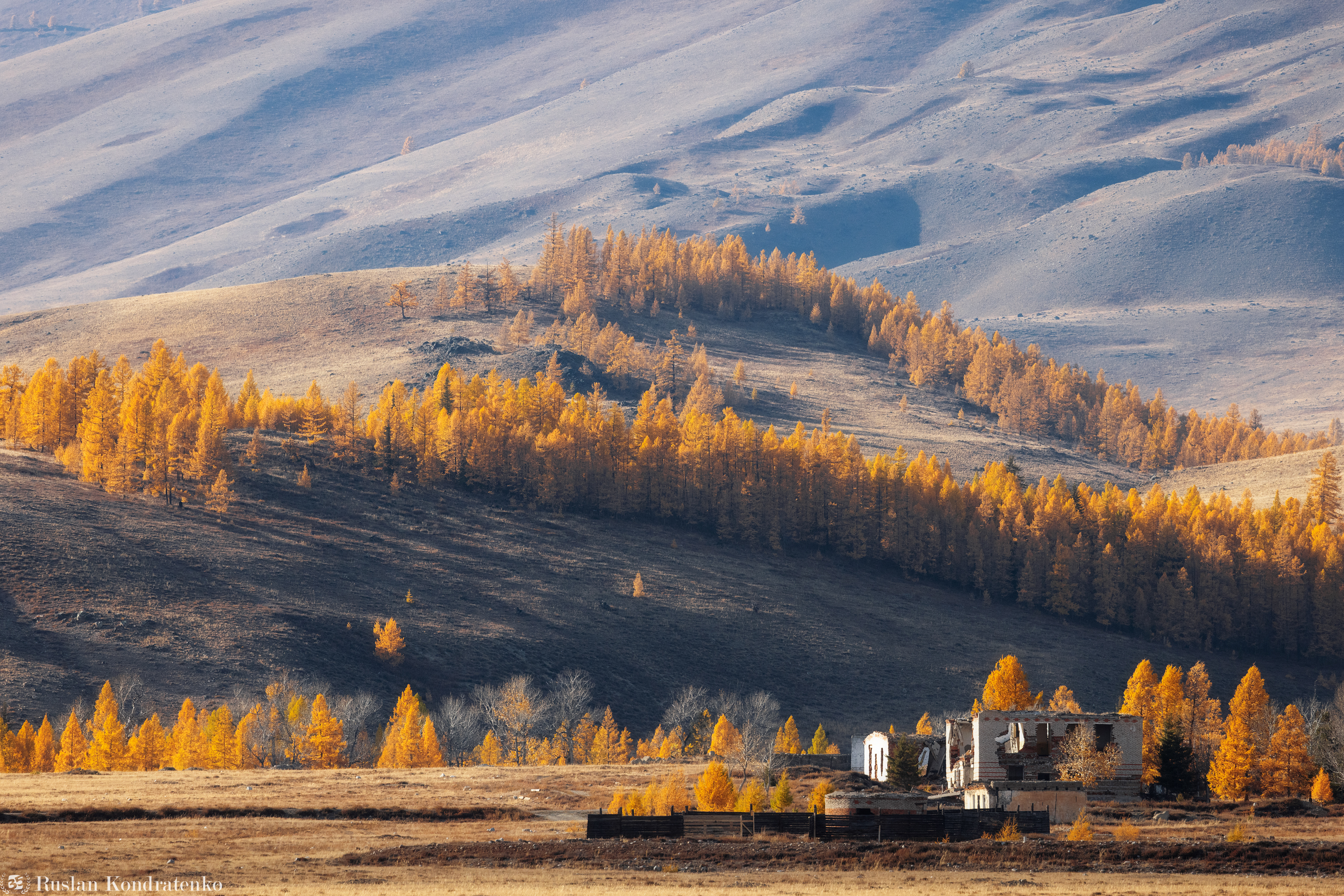 алтай, осень, горный алтай, степь, Кондратенко Руслан