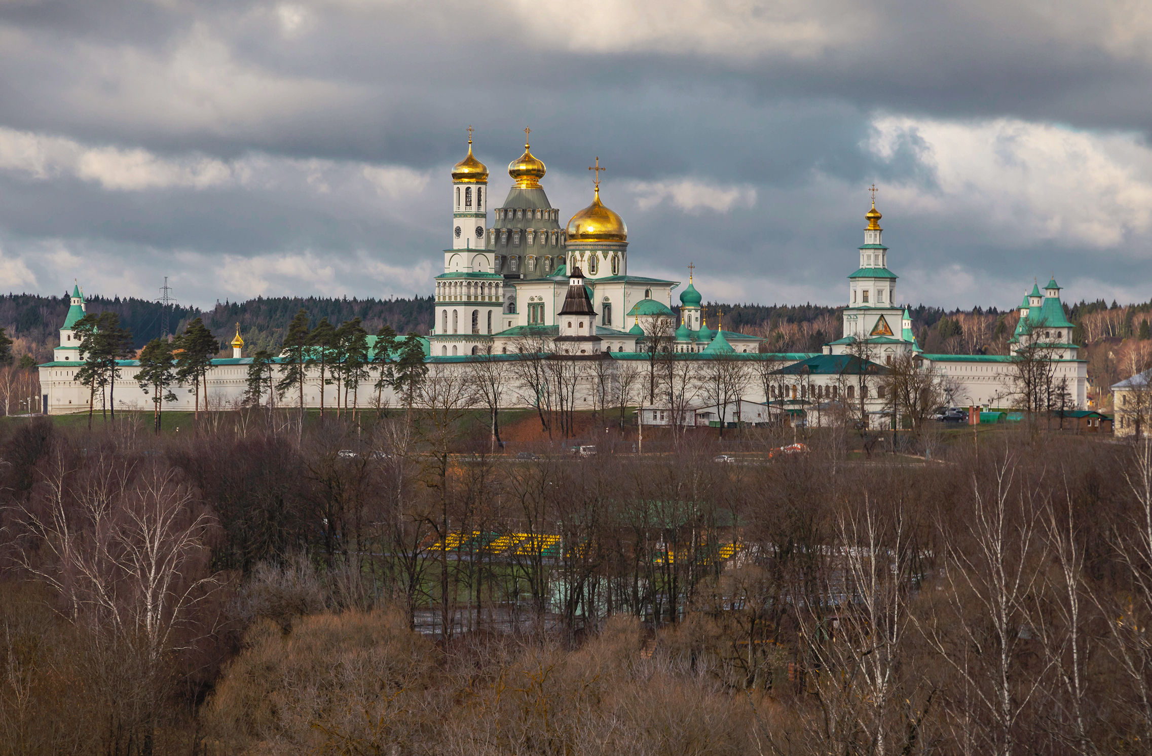 истра, Бирюков Вячеслав