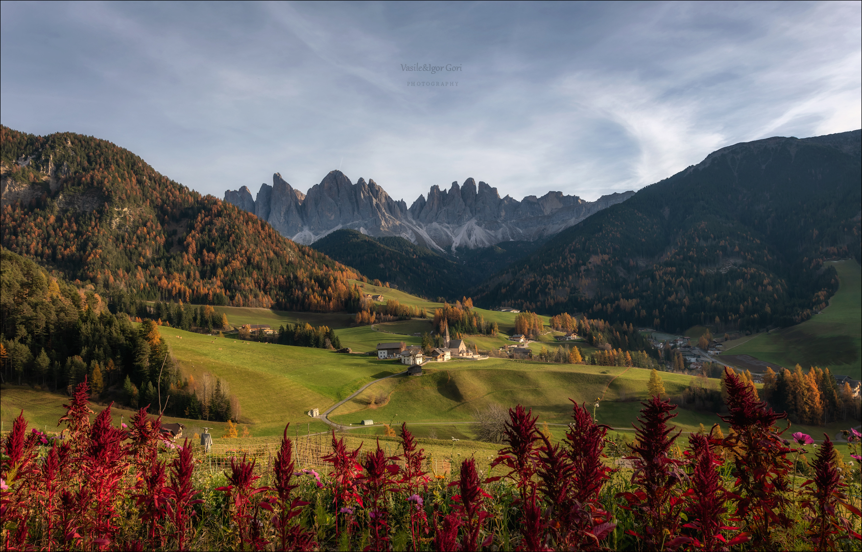 доломитовые альпы,цветы,santa maddalena,деревня,val di funes,осень,odle,гребешок,италия,alps,ranui,san giovanni,церквушка,hills,celosia, Гори Василий