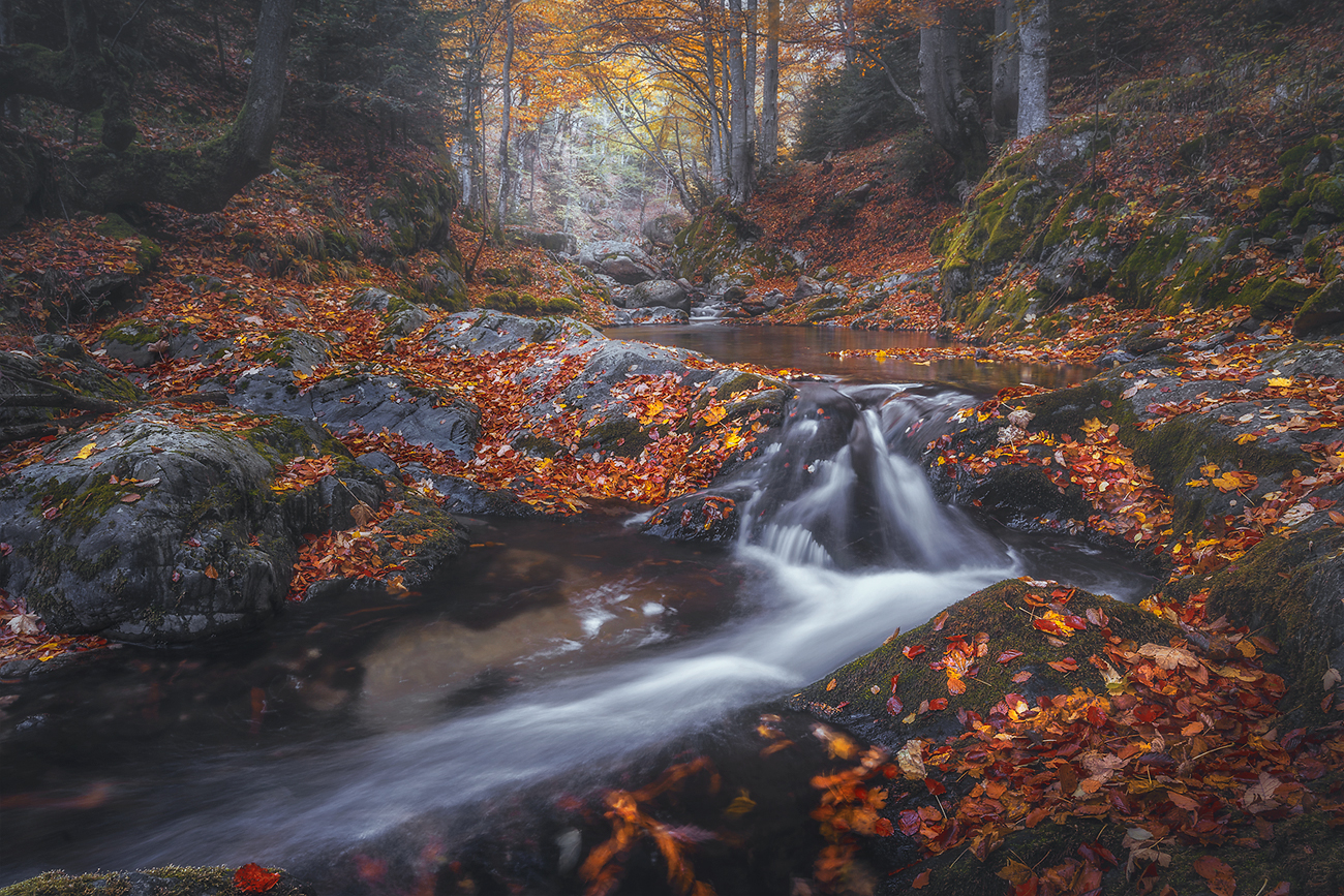 landscape, nature, scenery, forest, wood, autumn, fall, waterfall, river, mountain, rodopi, bulgaria, лес, Александър Александров