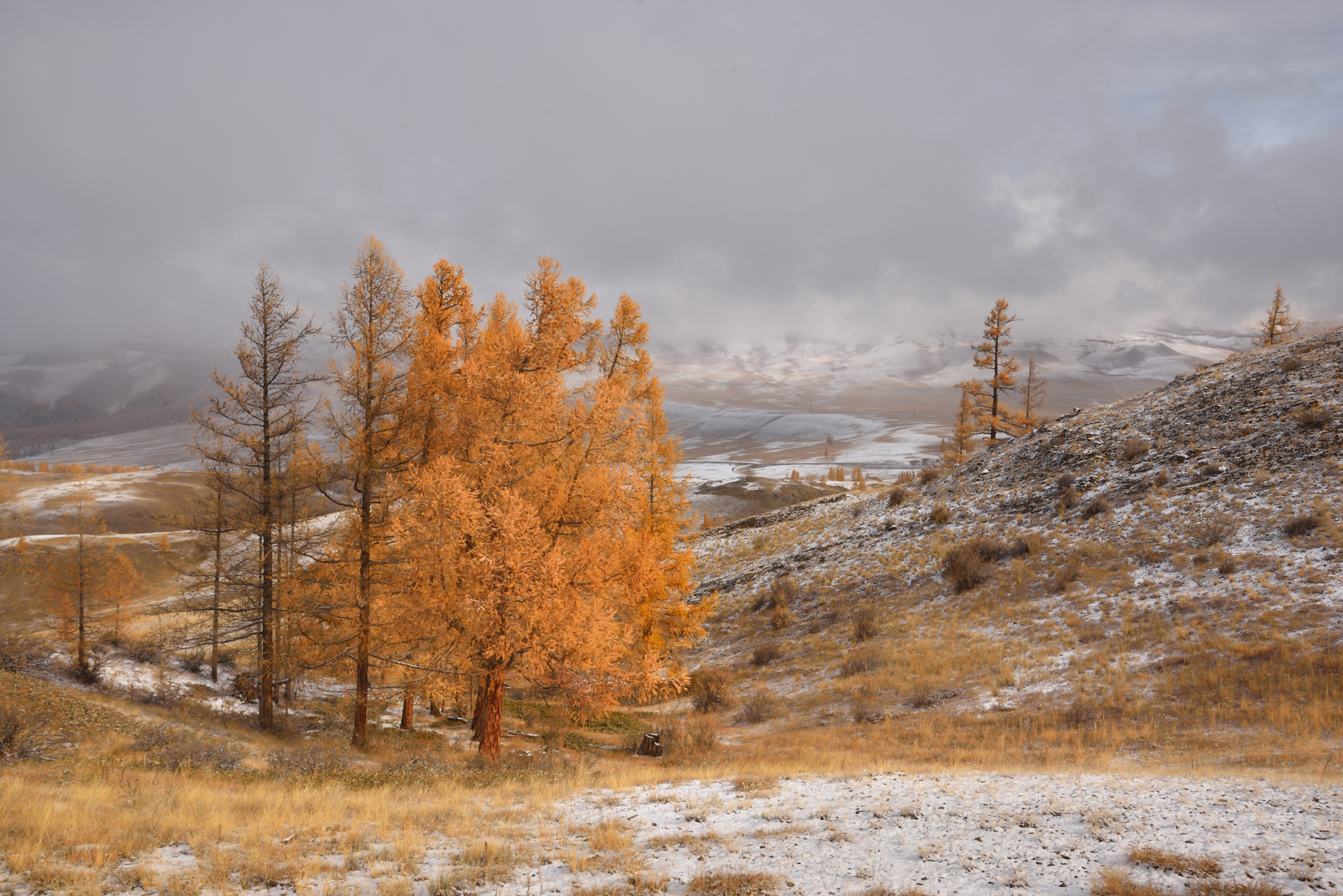 алтай фототур по алтаю осень горы горный алтай республика алтай, Максимова Ольга