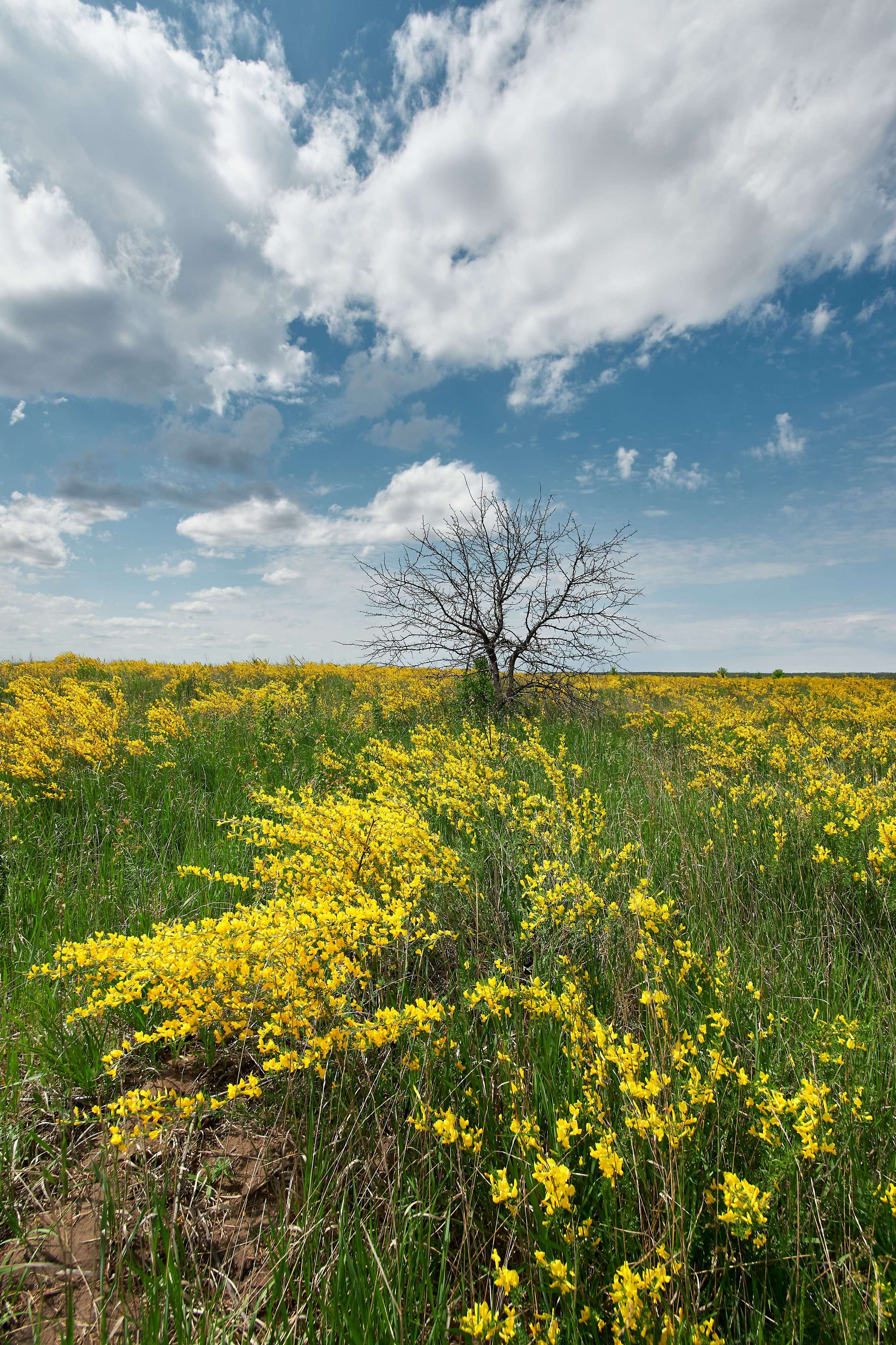 volgograd, russia, landscapes, , Павел Сторчилов