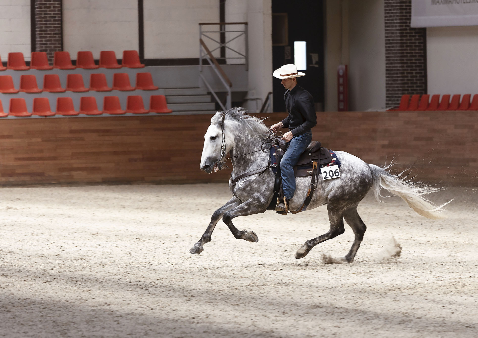 спорт,вестерн,соревнования,sport,horse,movement,competition, Стукалова Юлия