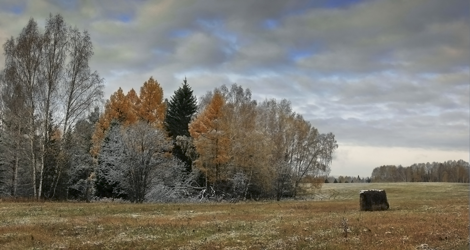 , Алексей Хахлов