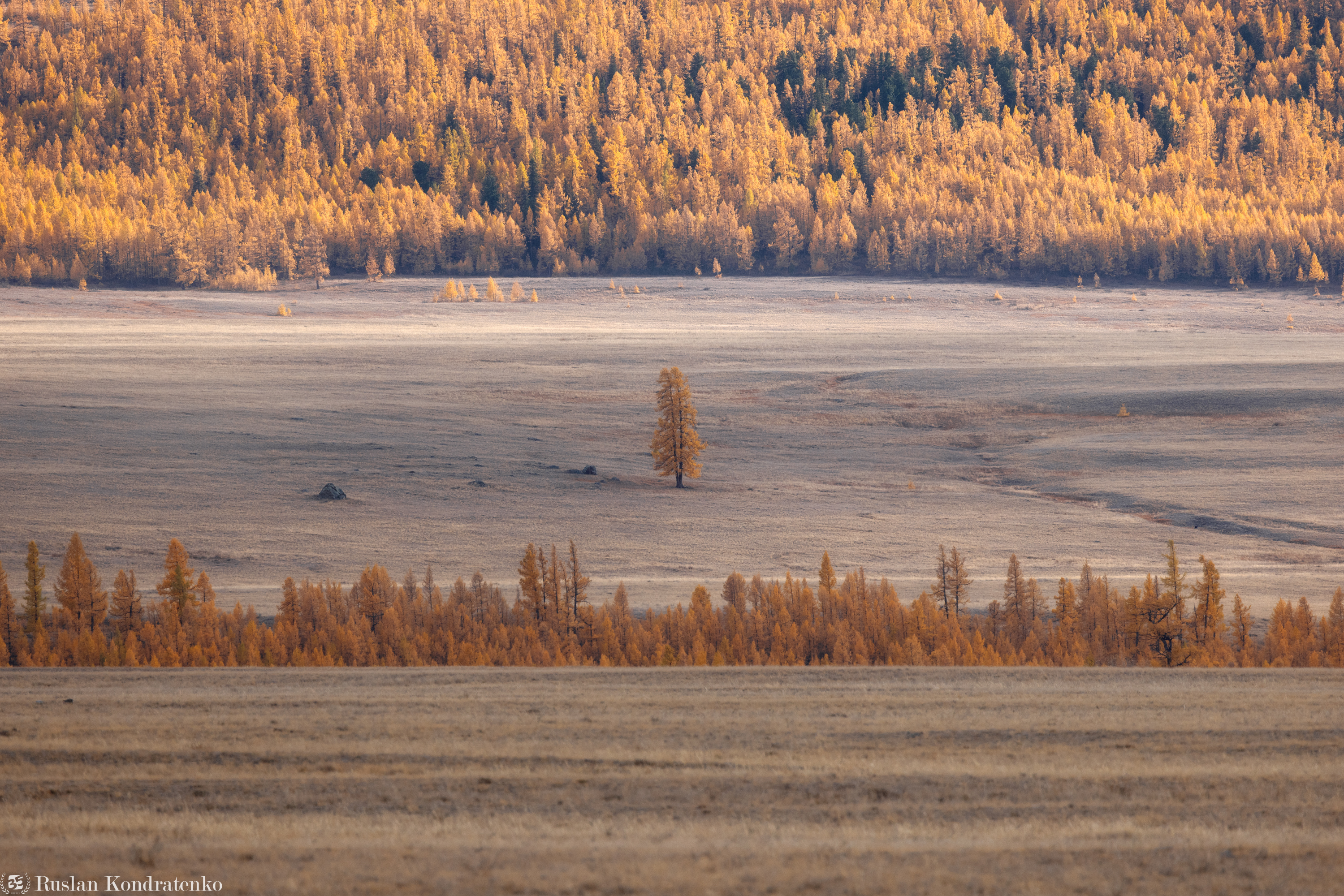 алтай, осень, горный алтай, степь, Кондратенко Руслан