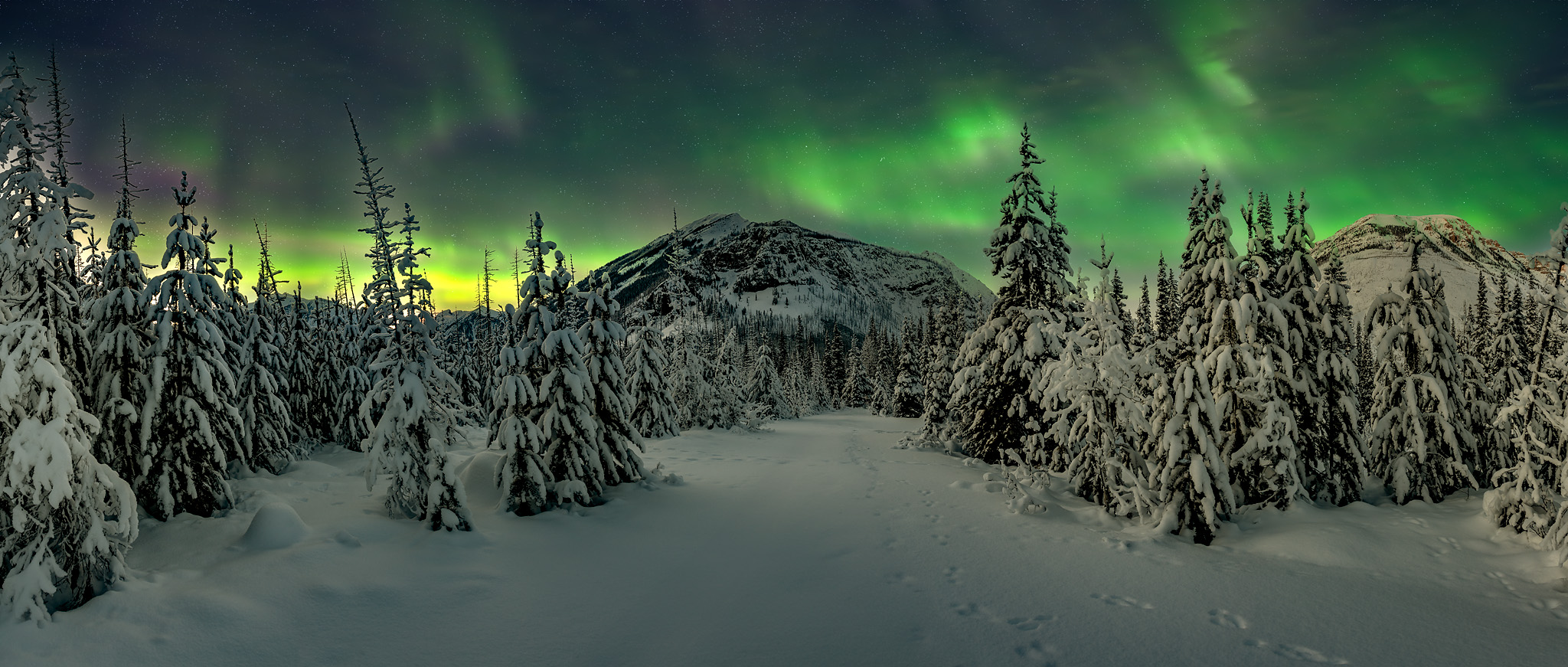 aurora, snow, winter, night, mountains, trees,, Gubski Alexander