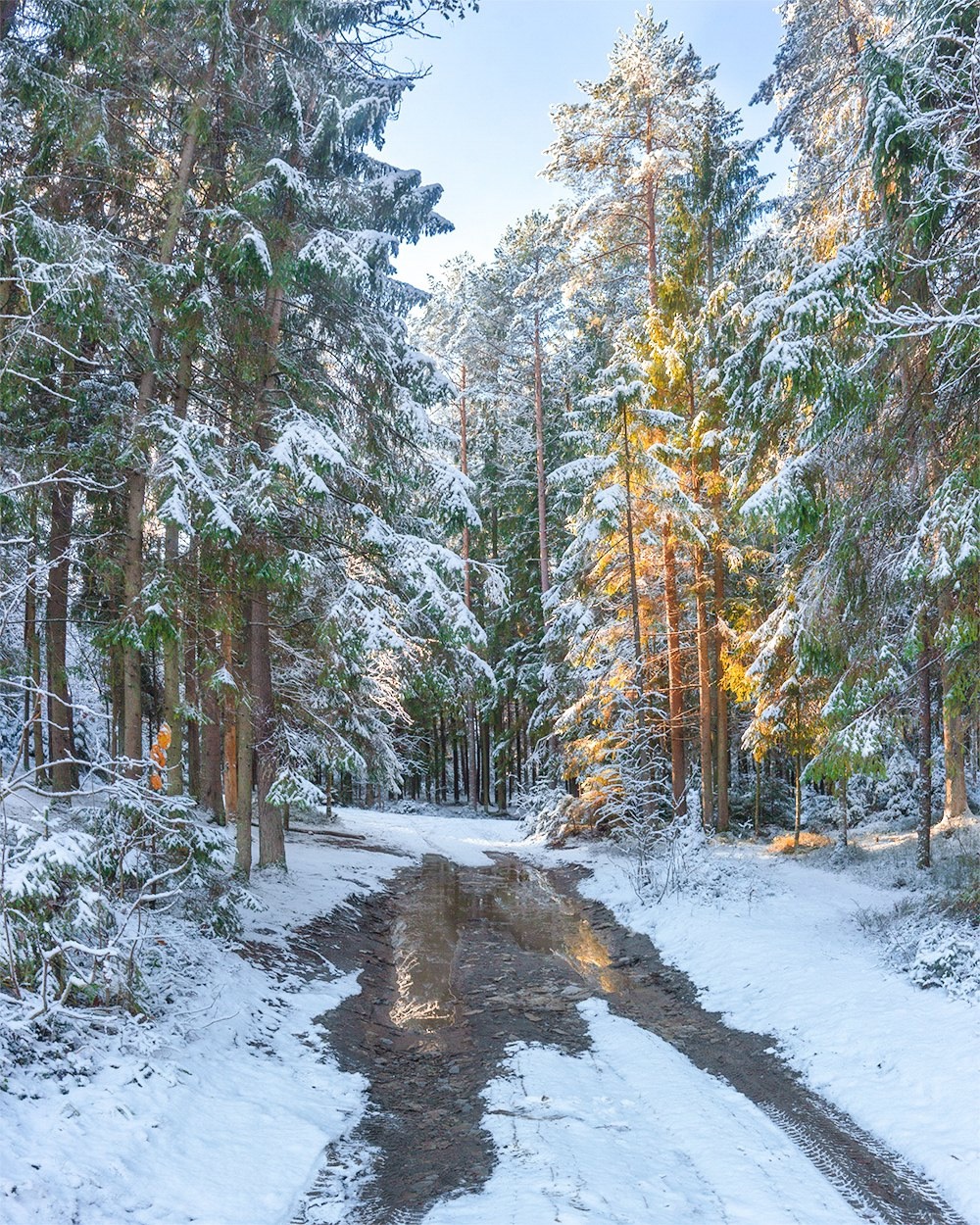 , Петр Косых