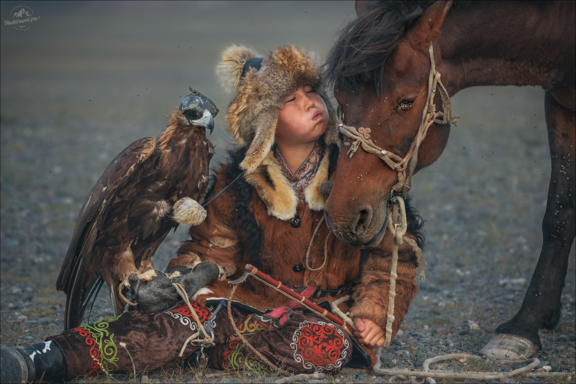 монголия, фототур в монголию, golden eagle festival, кочевники, golden eagle, беркут, беркутчи, фестиваль беркутчи, фестиваль беркутчей, фестиваль охотников с беркутами,фототур на алтай и в монголию, осенний фототур на алтай, Влад Соколовский