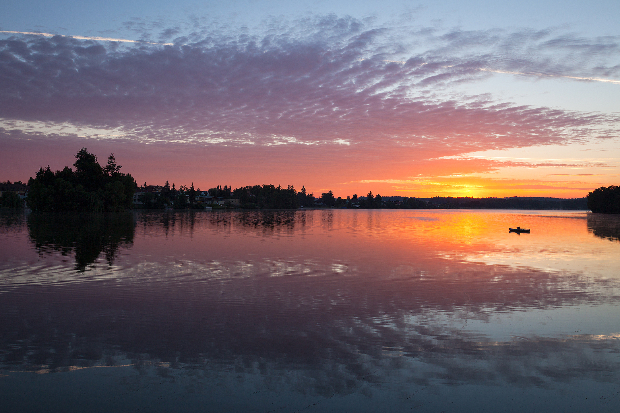 dawn, Adamec Robert