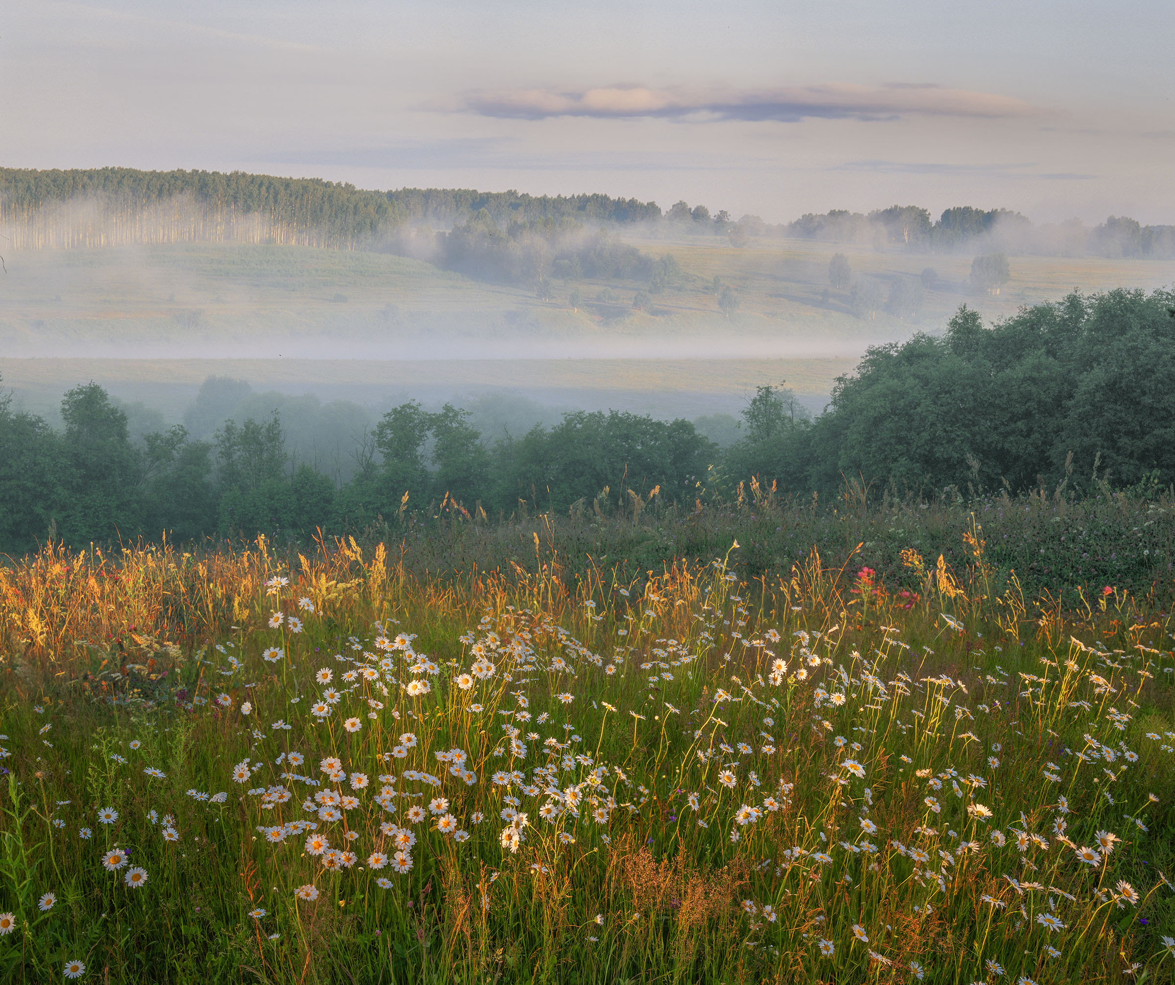 Фототуры с Владимиром Рябковым, #topnature #russpasibo #magic_shots #lovelyRussia #sunset_vision #exclusive_sky  #exclusive_shots #loves_russia2 #photoarena_nature #nature_sultans #nature_perfection #rsa_sky #rsa_sunset #photorussia #rsa_naturepics #sunse, Владимир Рябков