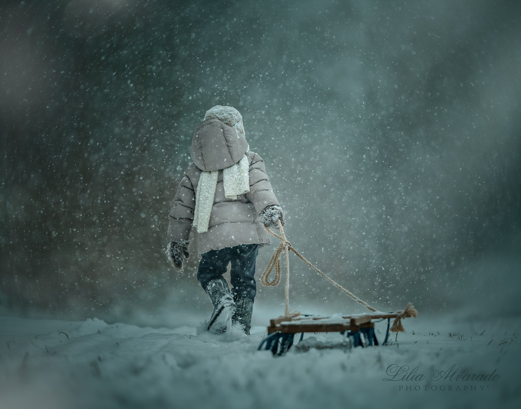 wind,snow,winter,whiteout, sled,cold,candid,walking,light,gale, Lilia Alvarado