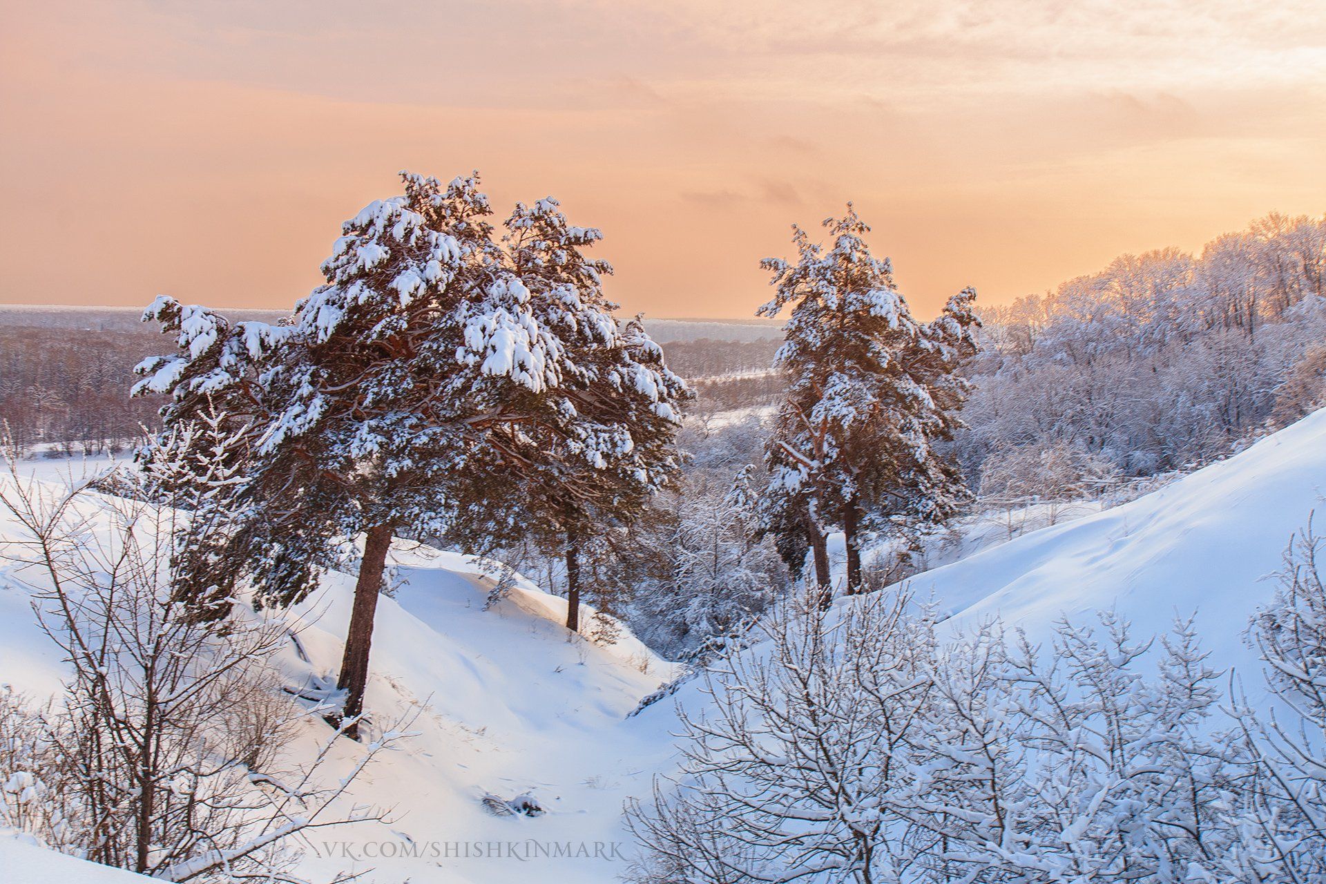 Пейзаж, природа, красота, закат, лес, зима, снег, холод, мороз, Марк Шишкин