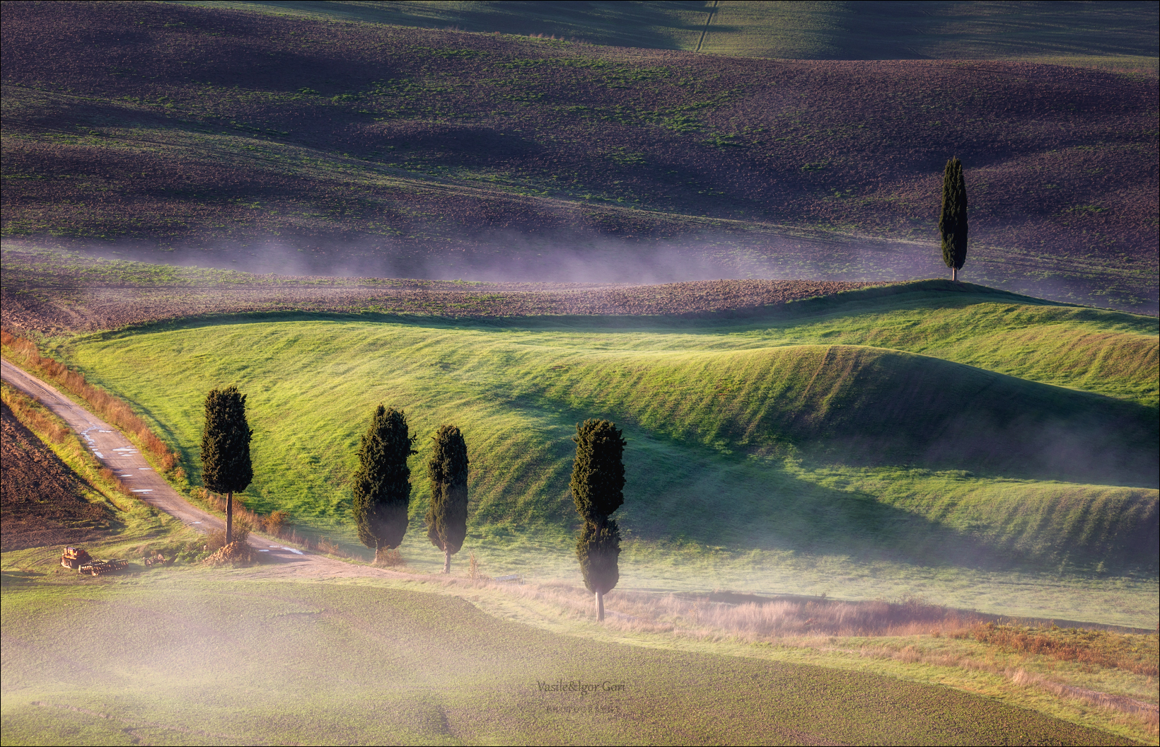 italy,san quirico d 'orcia,italia,пьенца,италия,тоскана,кипарис,toscana,осень,tuscany,cipressi,дымка,morning,colors,fog, Гори Василий