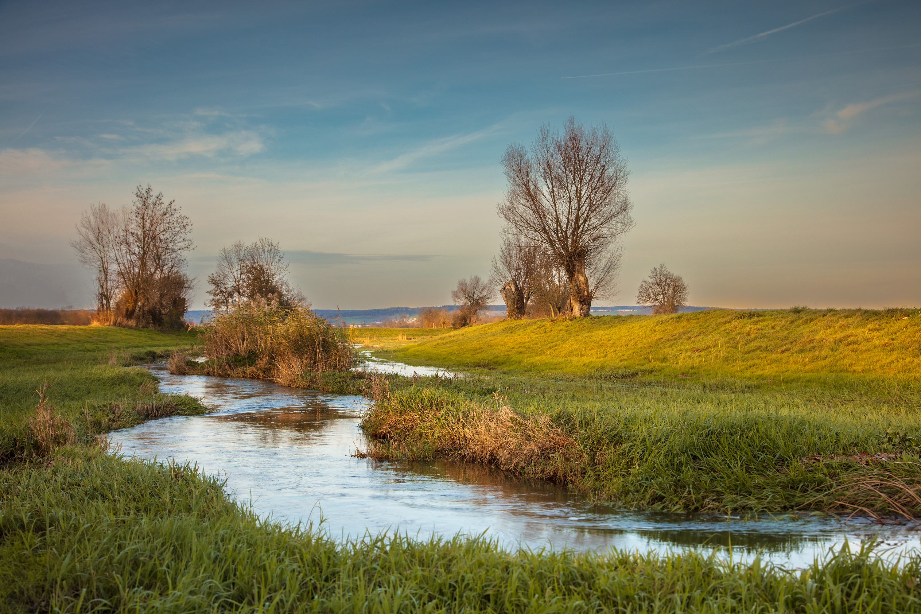 river, meadow, trees, sunset, landscape,  Gregor