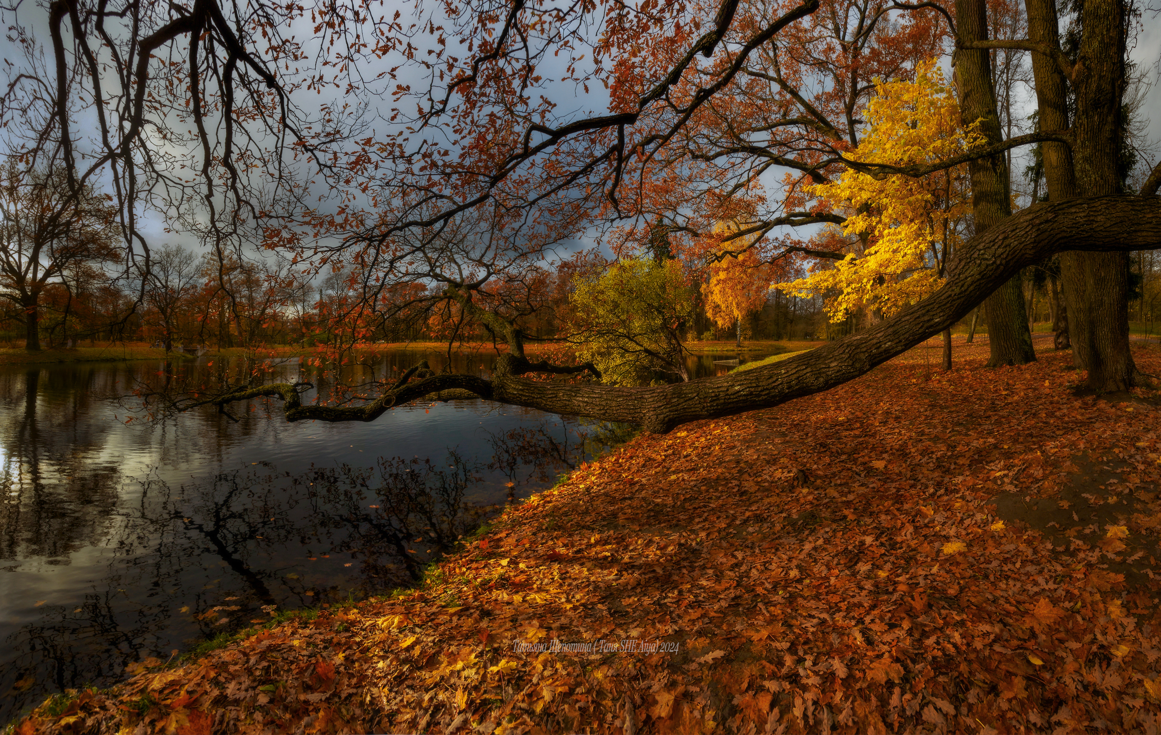 питер, пушкин, царское село, царское,  landscape, tsarskoye selo, autumn,  городской пейзаж, санкт-петербург,  александровский парк, Щепотина Татьяна