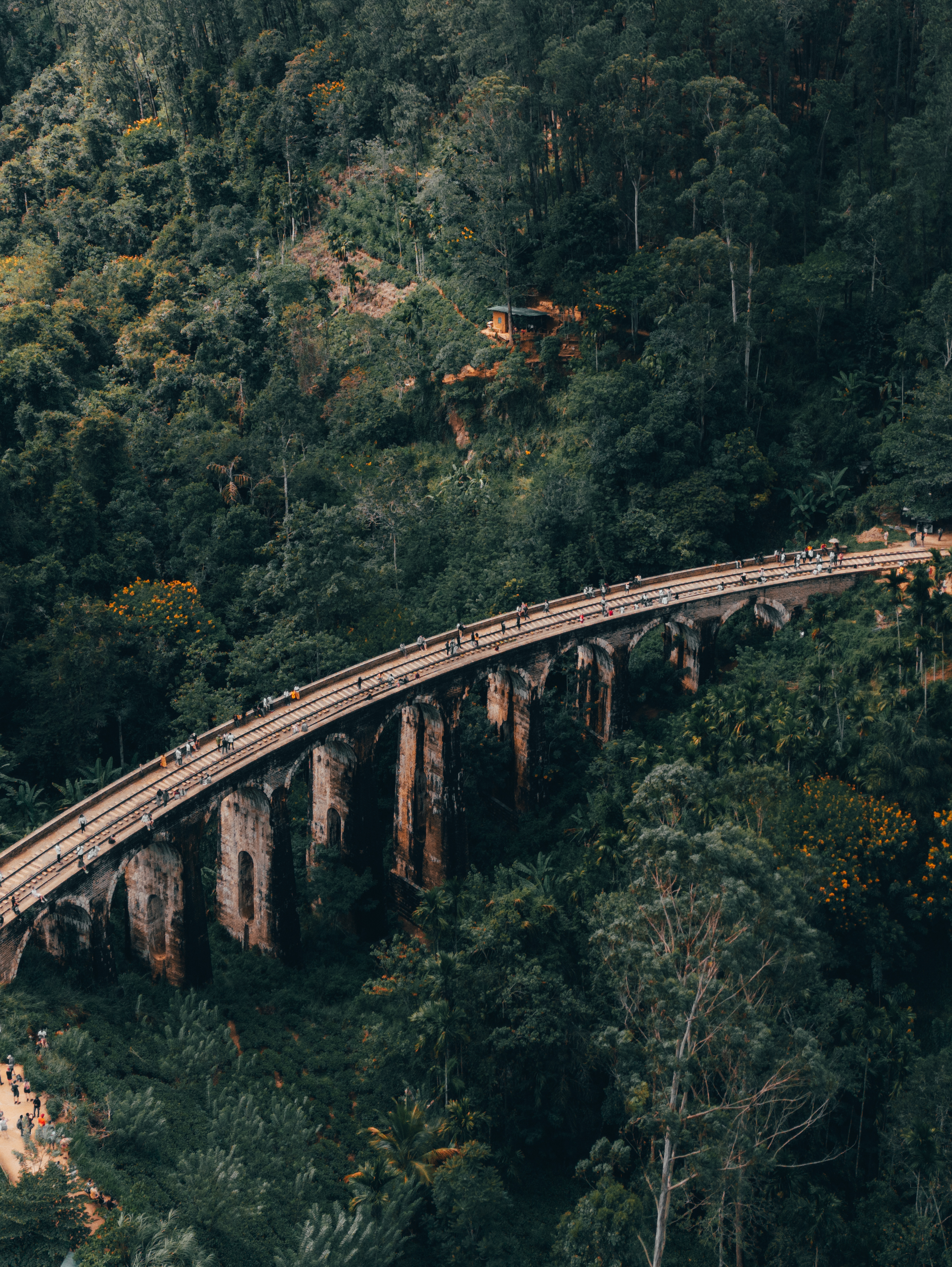 nine arch bridge, sri lanka, ella, aerophotography, dji, mini 3 pro, tropic, Батагов Сармат