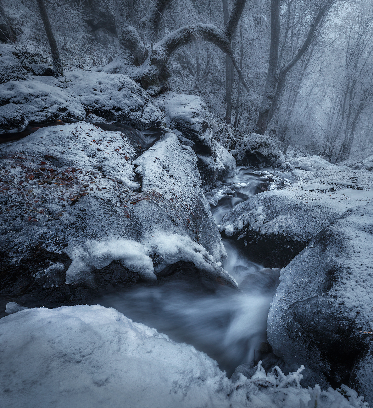 landscape nature scenery forest wood autumn rime mist misty fog foggy river longexposure mountain rocks vitosha bulgaria туман лес oсень, Александър Александров