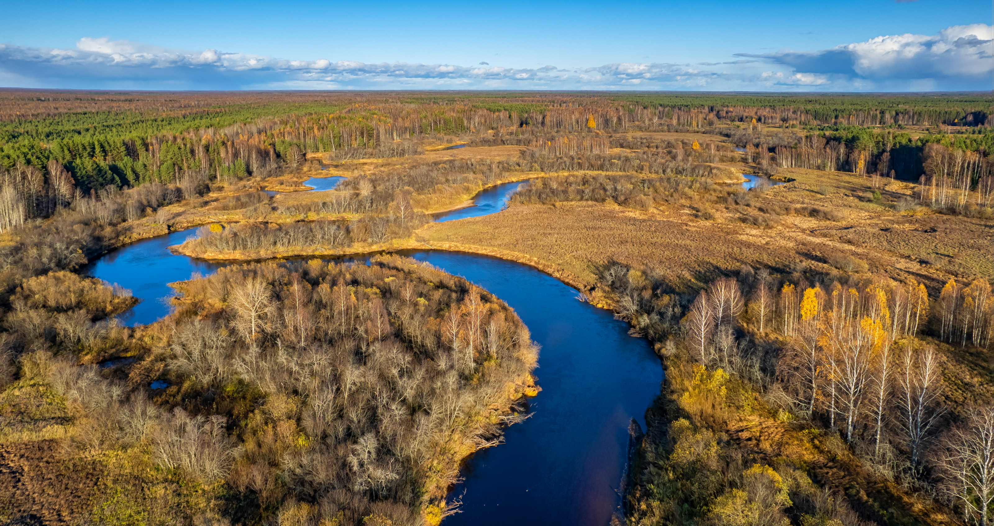 колпь, природа, река, осень, пейзаж, вологодская область, Подосинников Максим