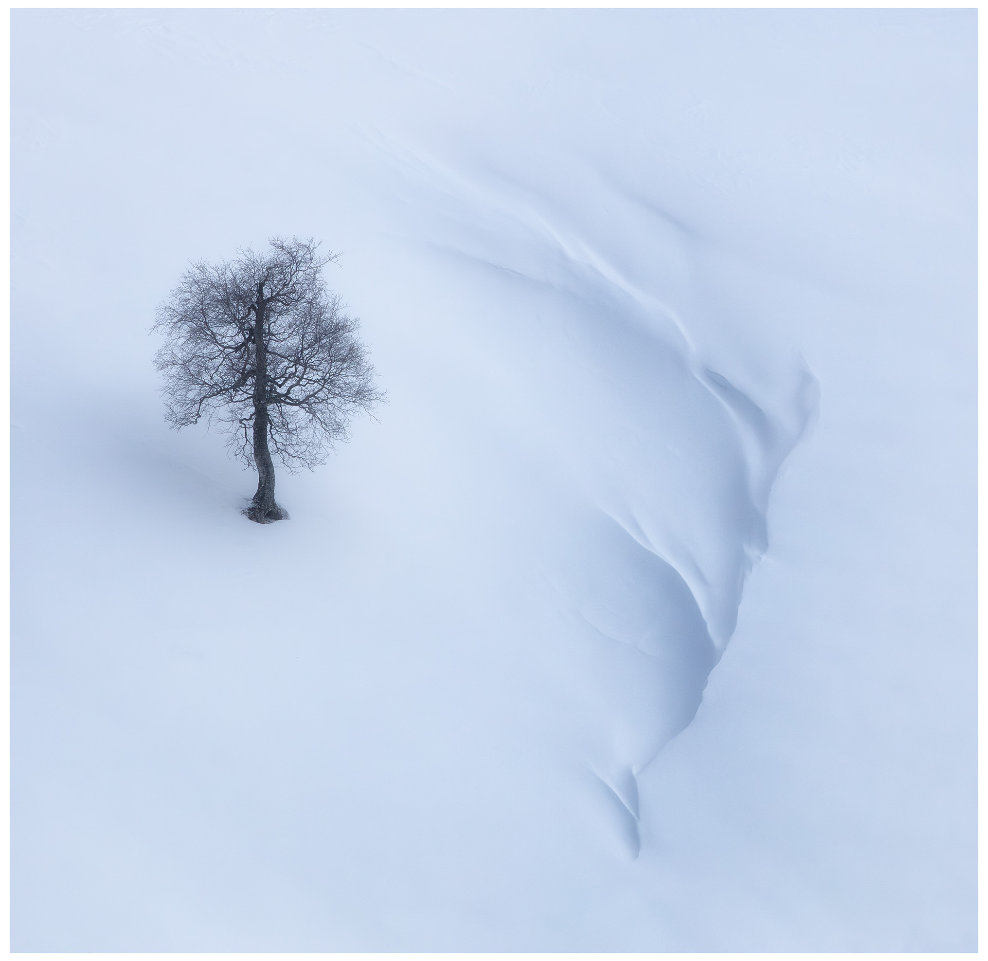 пейзаж, снег, зима, гора, дерево, минимализм, landscape, landscape photography, minimalism, minimalist, lonetree, tree, snow, winter, TIMUR ERSNO