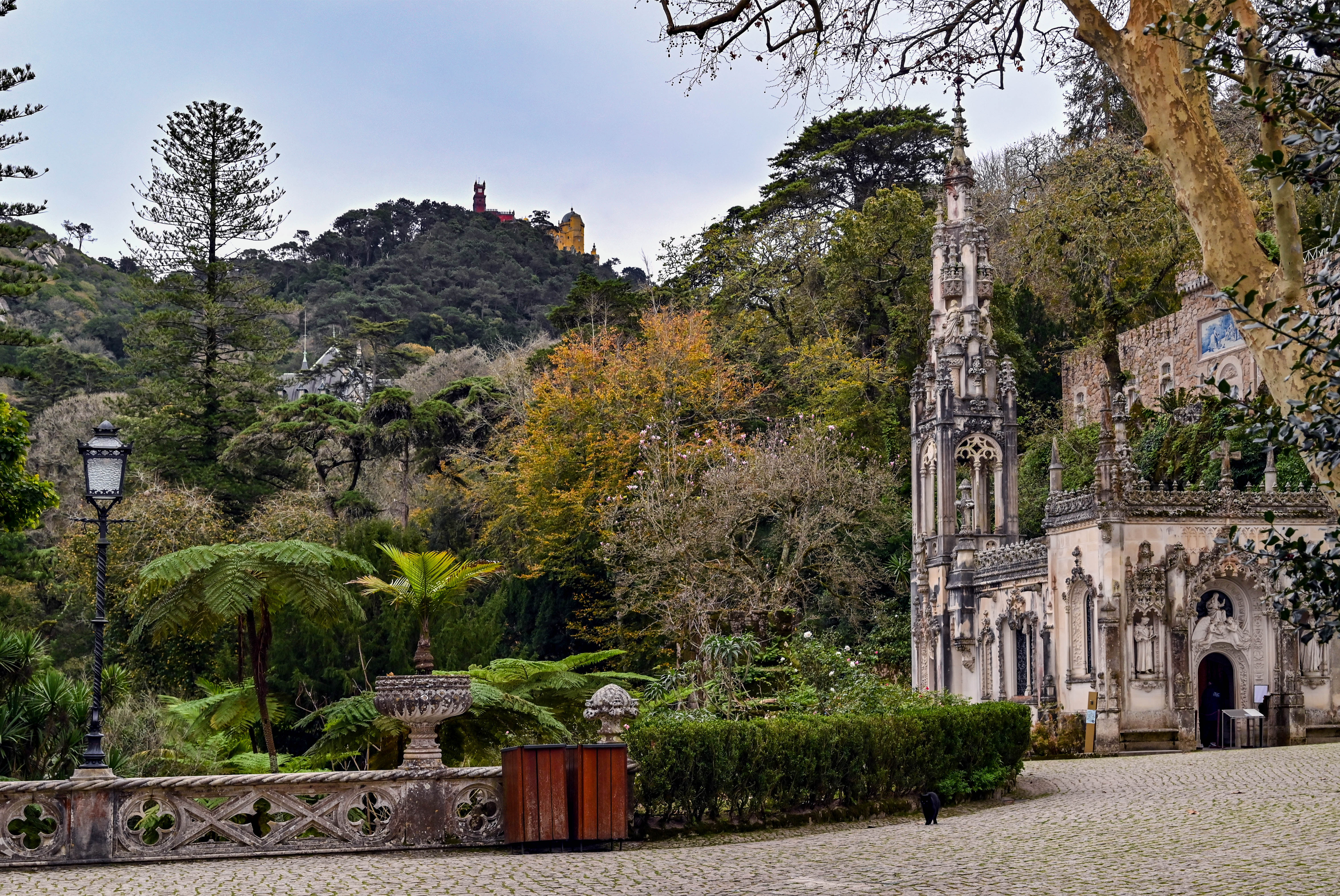 Palaces, Church's, Nature, Gardens, Machado Carlos