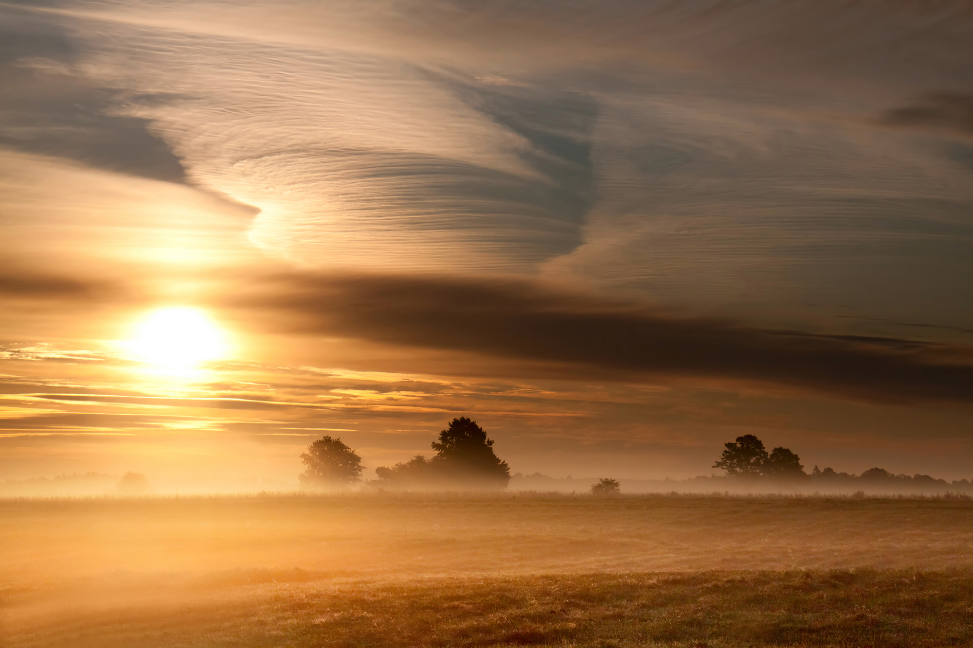 autumn,fog,fielg,sun, Eugenijus Rauduve