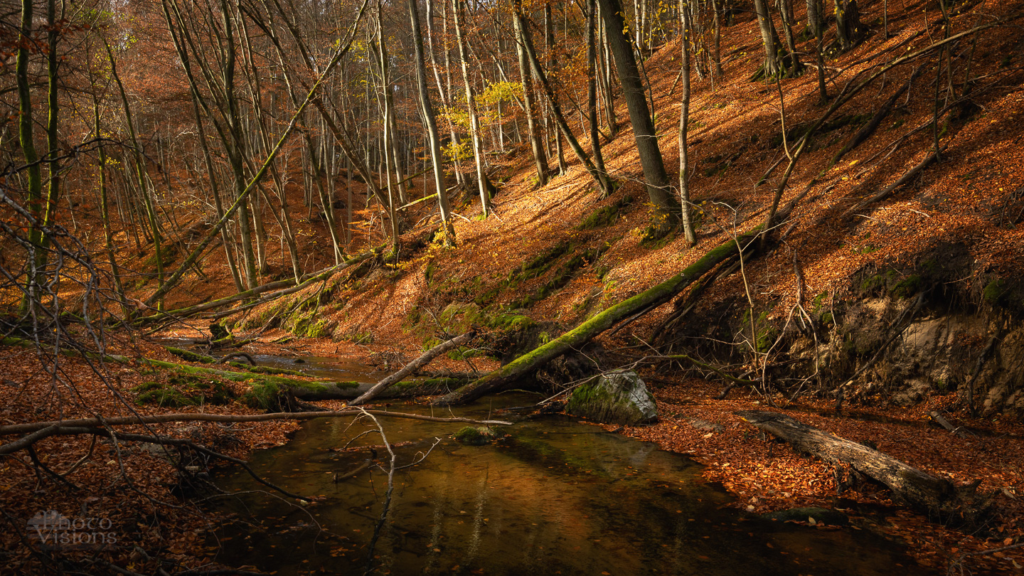 forest,river,trees,autumn,woodland,woods,landscape,, Photo Visions