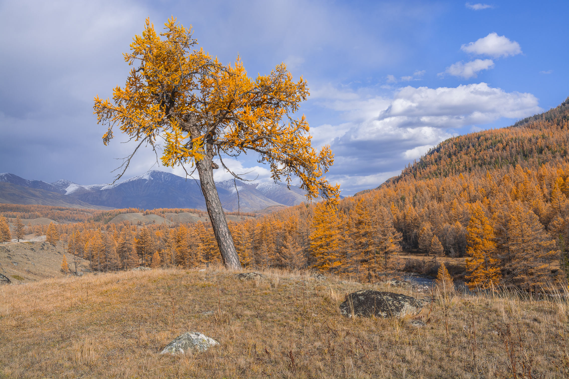 россия, горный алтай,осень, Андрей Поляков