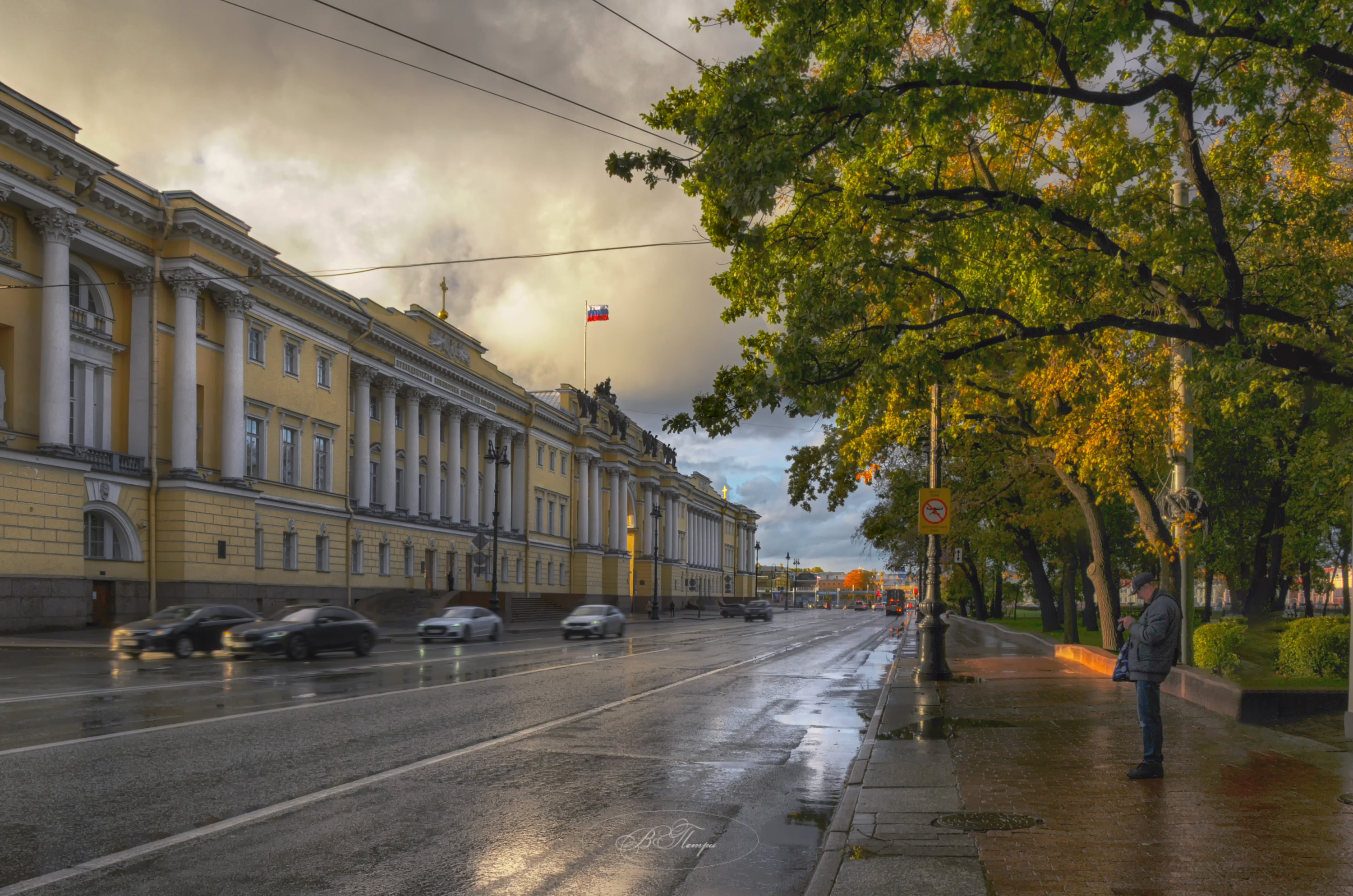 улица здания машины человек, Вера Петри