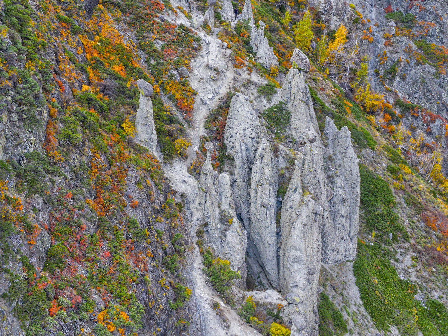 Алтай, Россия, Челышман, Каменные грибы, пейзаж, Лариса Дука