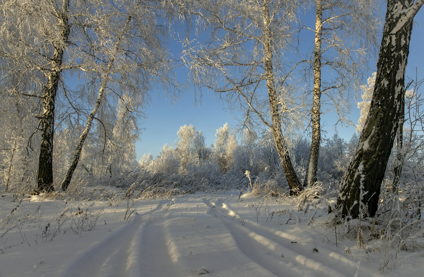 , Алексей Хахлов