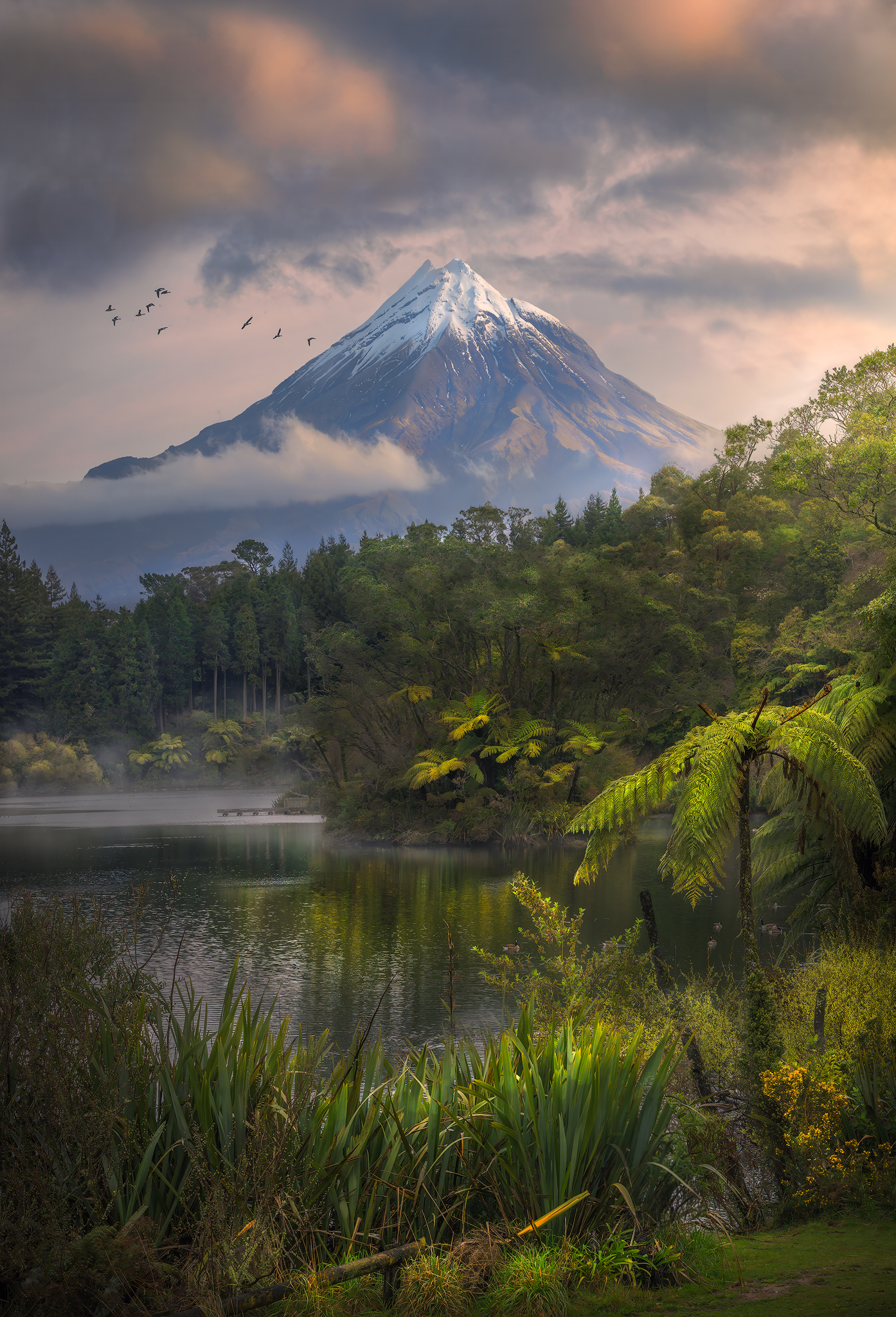 Taranaki, landscape, photography, new Zealand, mount egmont, new plymouth, travel, outdoors, hiking, tracking, Mountains , Lukas Trixl