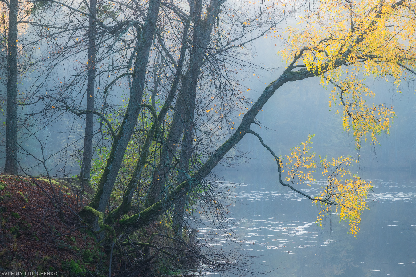 осень, природа, пейзаж, озеро, autumn, lake, landscape, nature, Валерий Притченко