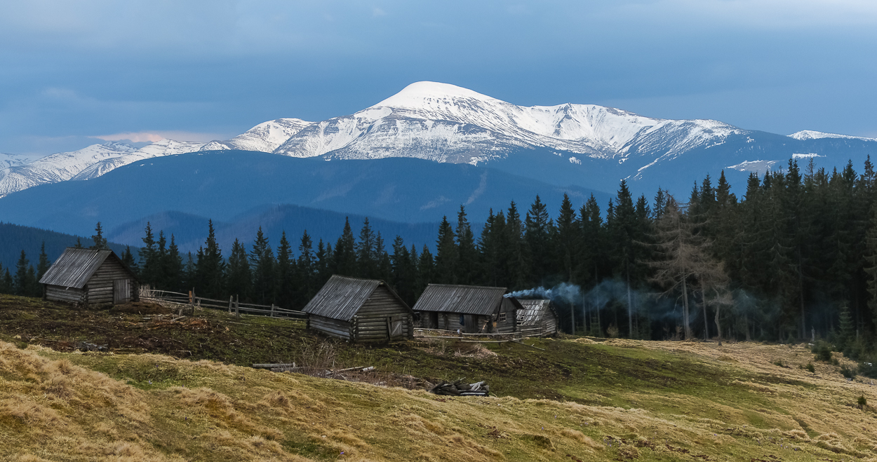 , Александр Подрез