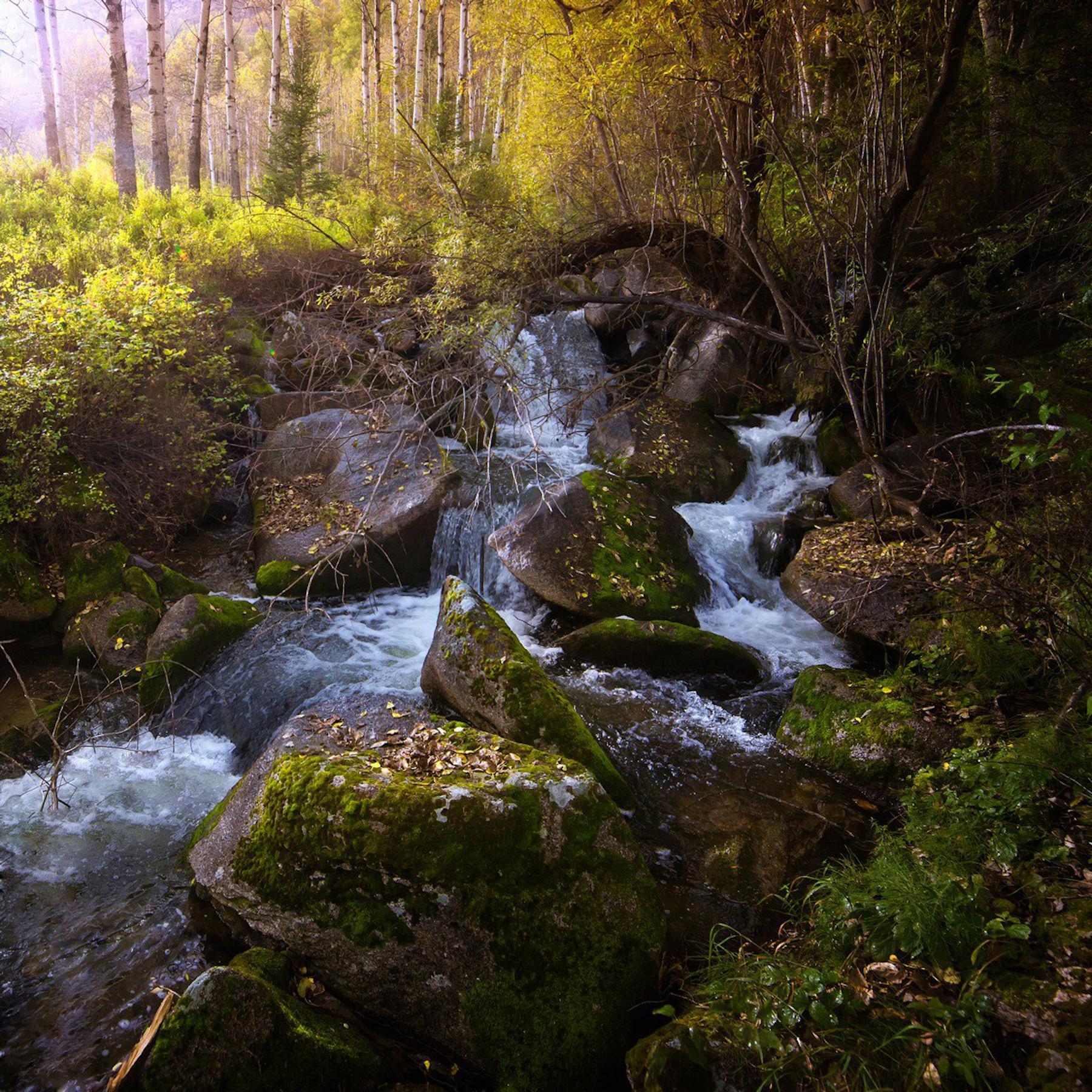 , Ратушнова Арина