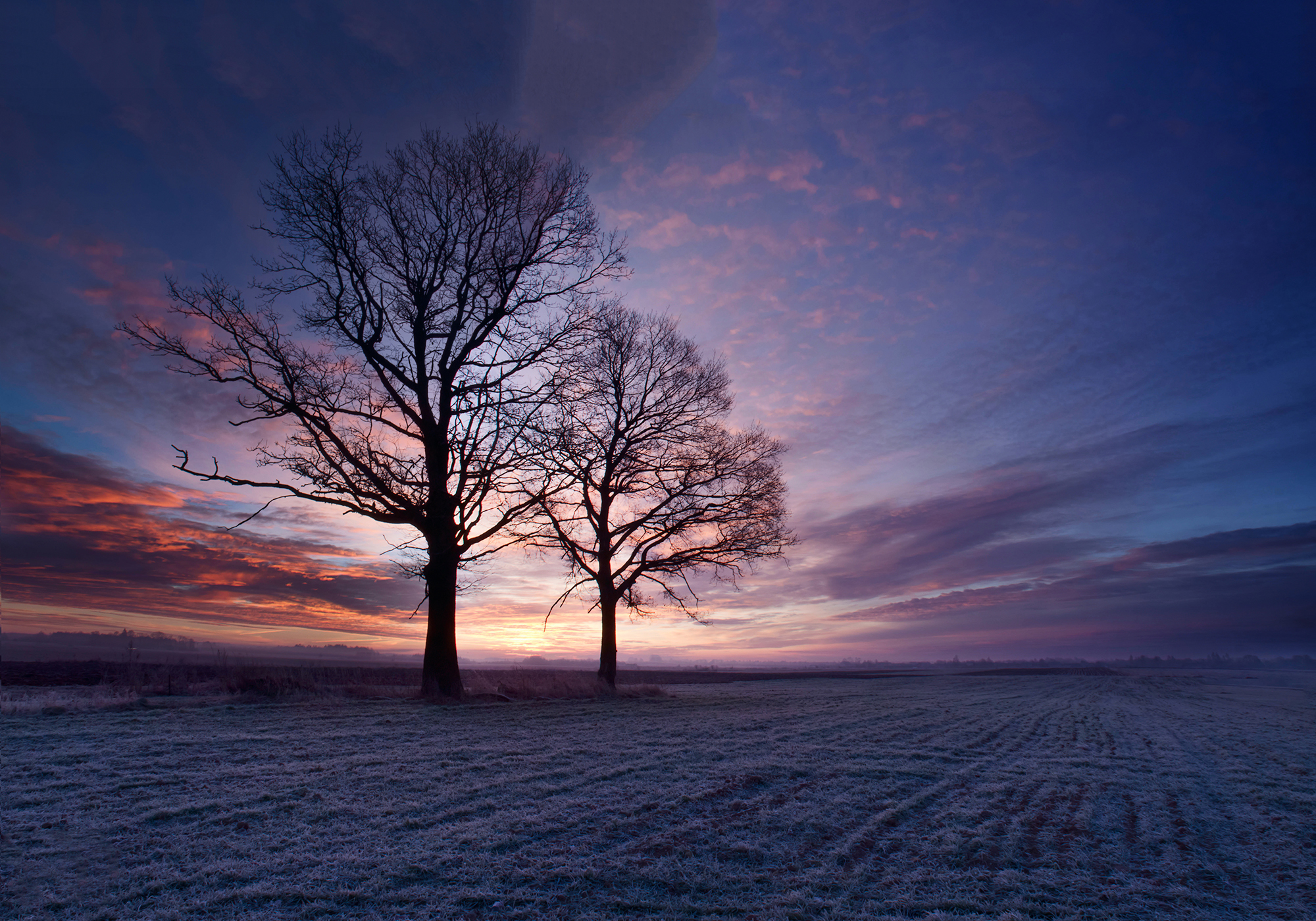 dawn,oaks,field,frost, Eugenijus Rauduve