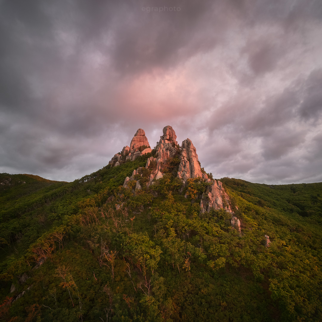 russia, primorye, primorsky krai, far east, россия, приморский край, приморье, дальний восток, Рябенький Александр