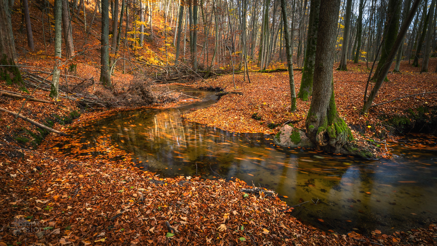 river,forest,woodland,woods,autumn,autumnal,, Photo Visions