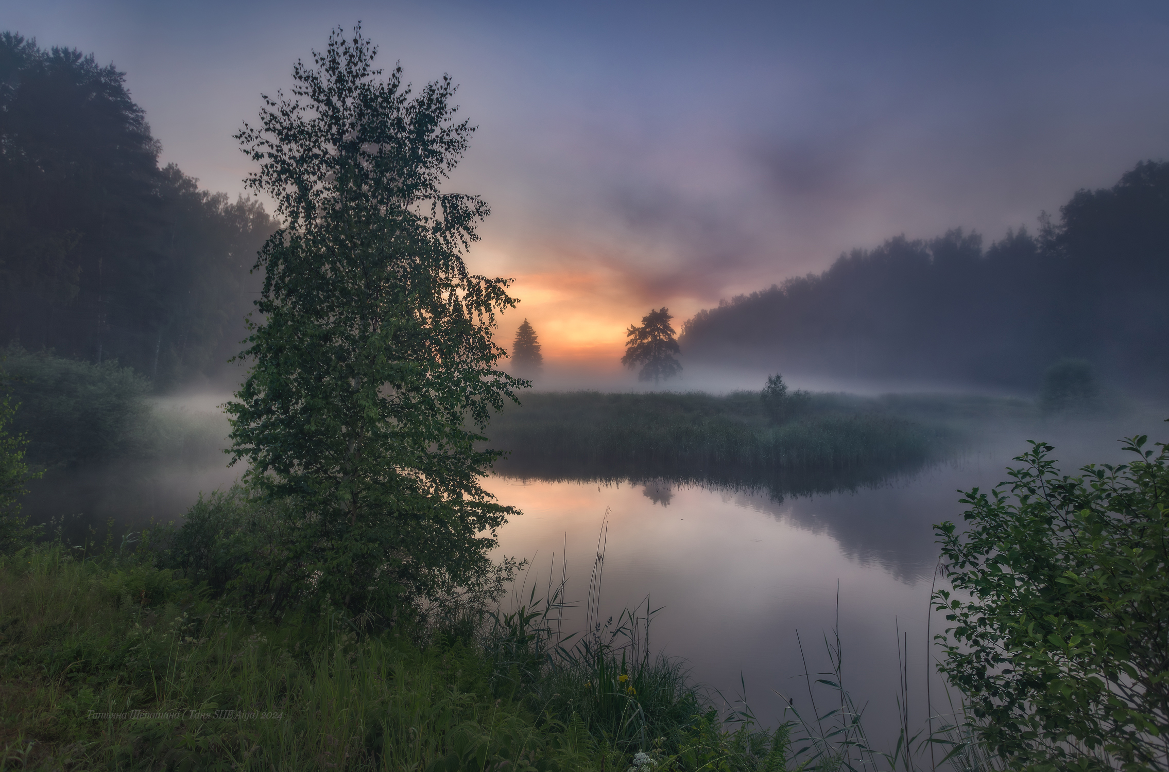 павловский парк, царское село, павловск, павловский, пейзаж, landscape, nature, белые ночи, Щепотина Татьяна