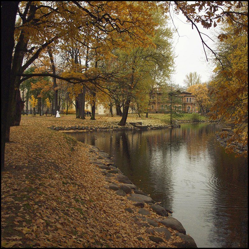 санкт-петербург, лопухинский сад, осень, Андрей Литов